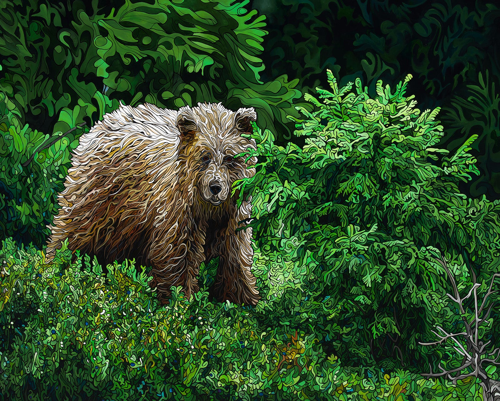 Animals “Hidden Among the Firs” by Jeff Dillon – acrylic on canvas.