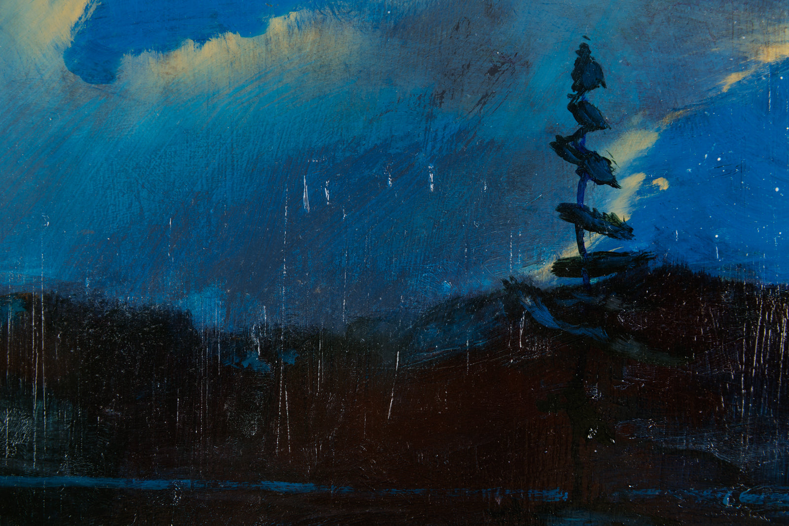 Night Veil