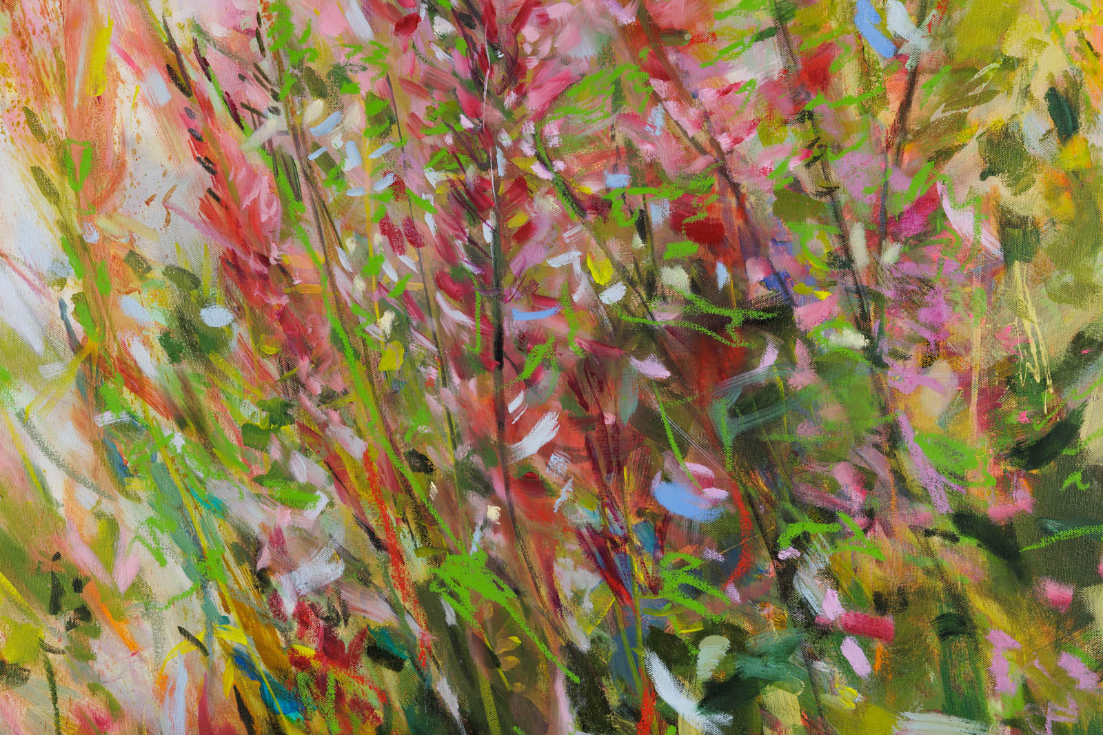 Fuchsia Hyssops