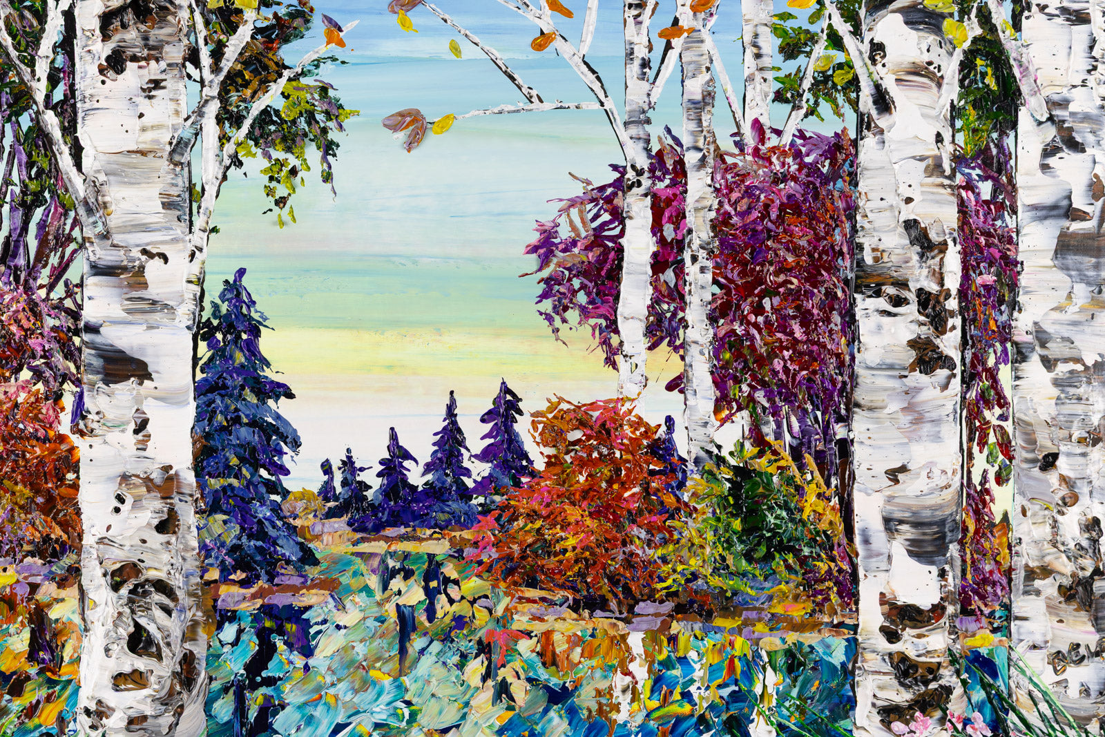 Day Birch With Pines 192288