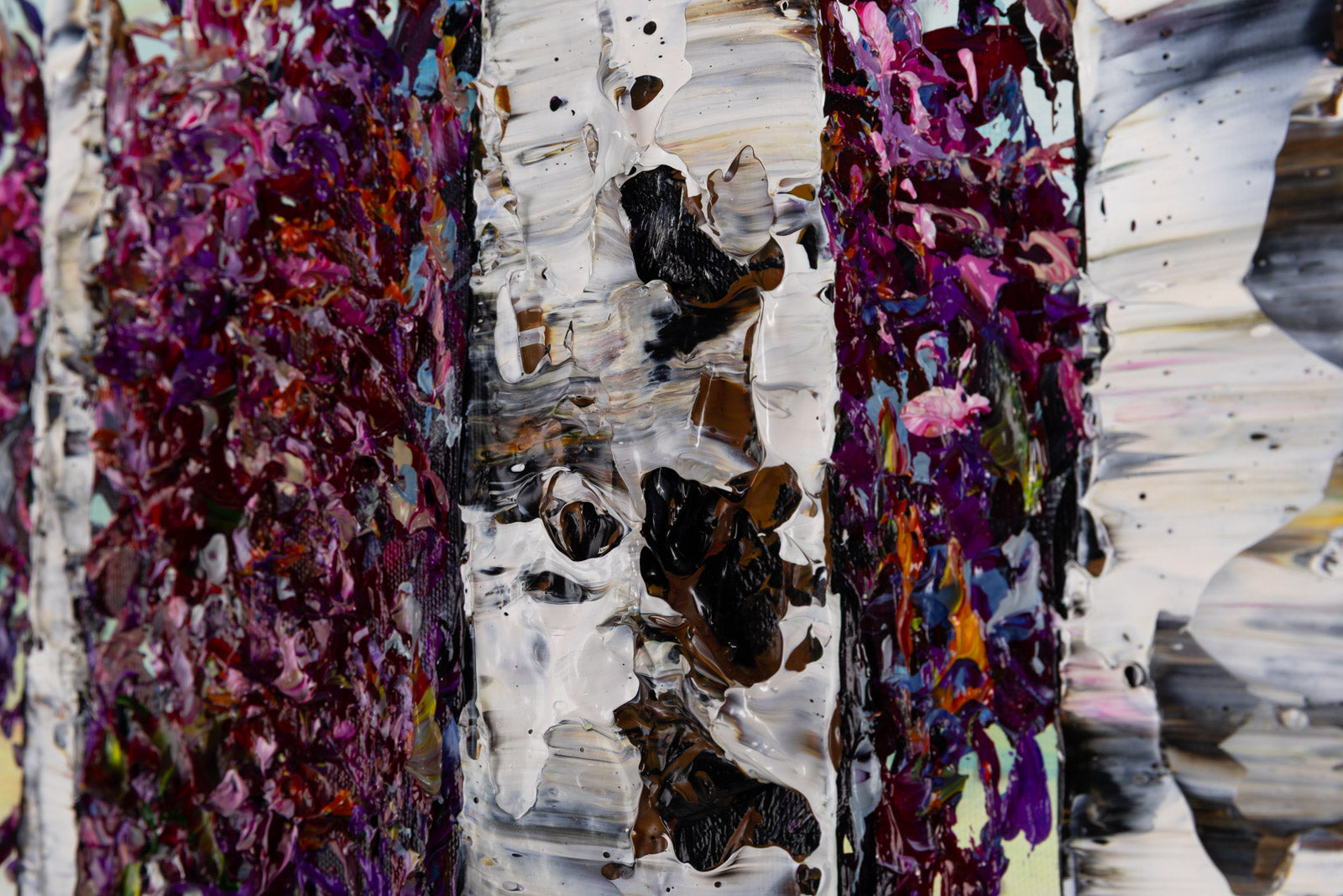 Day Birch With Pines 192288