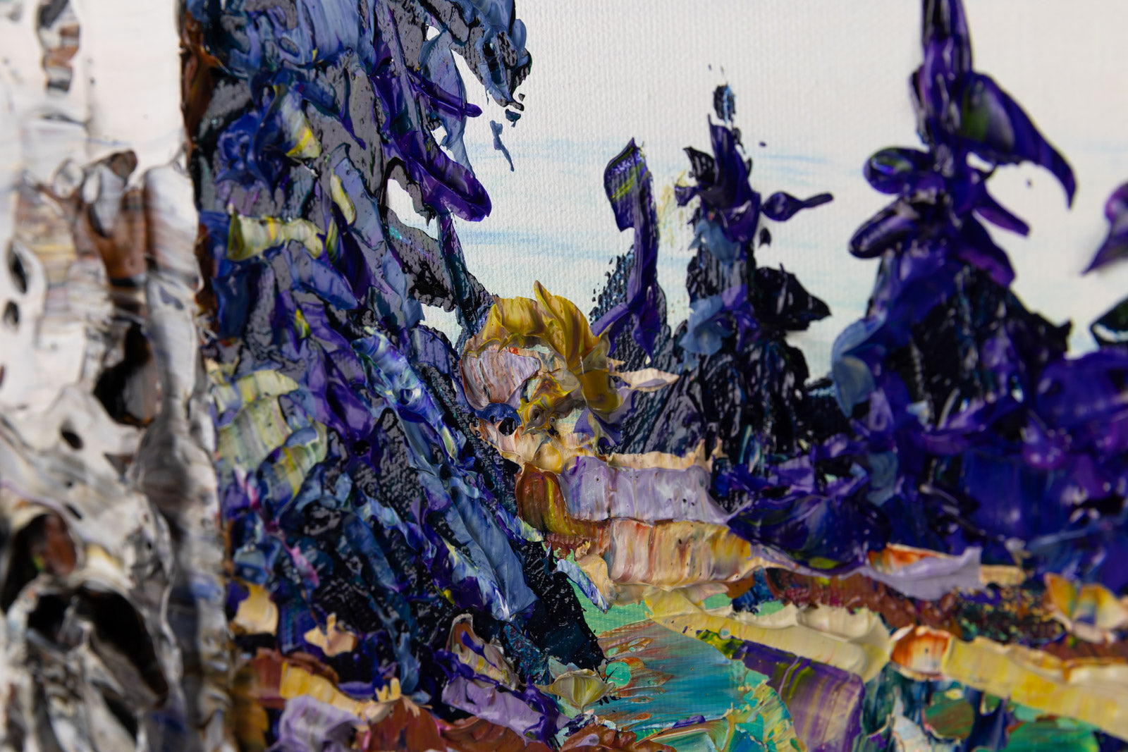 Day Birch With Pines 192288