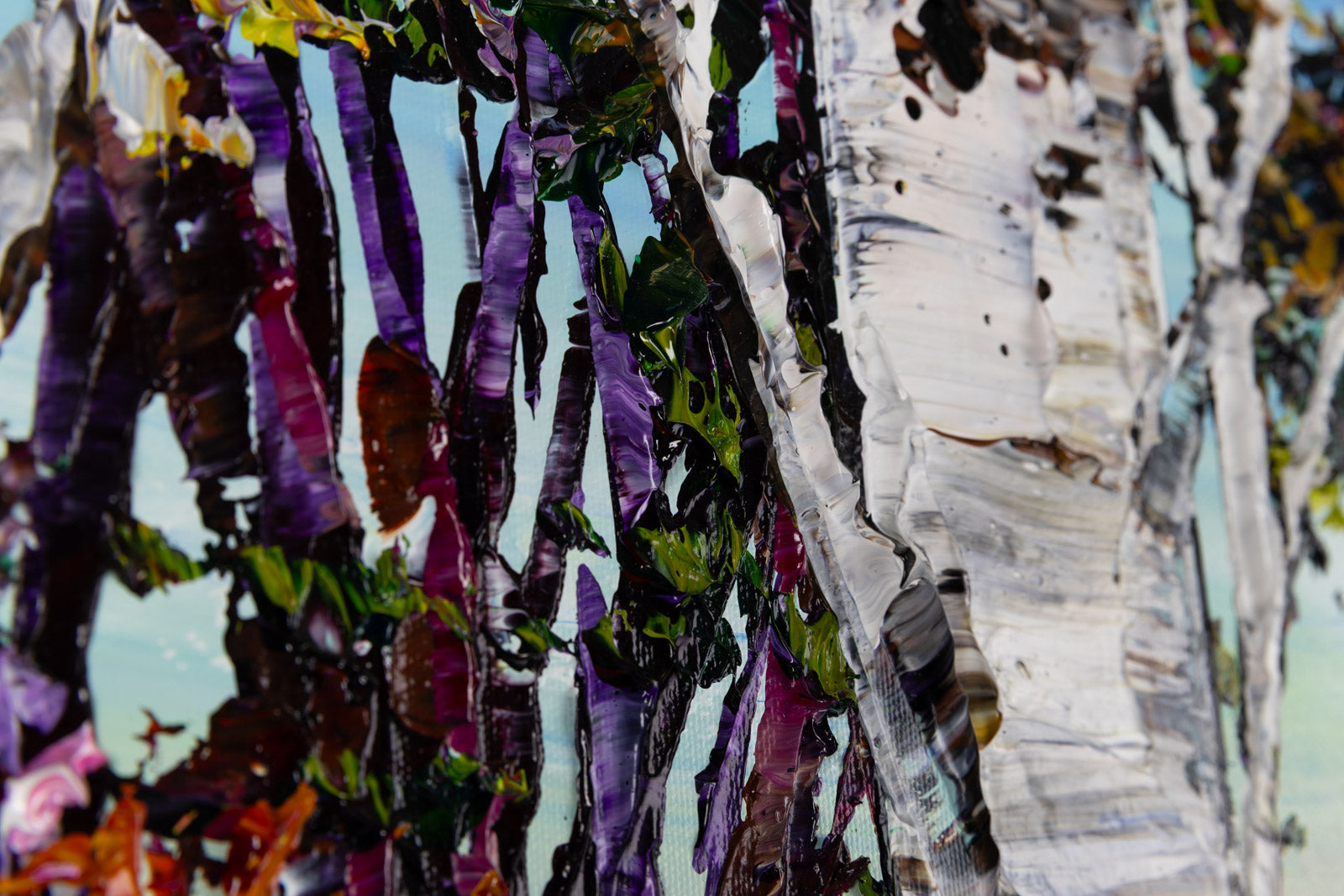 Day Birch With Pines 192288