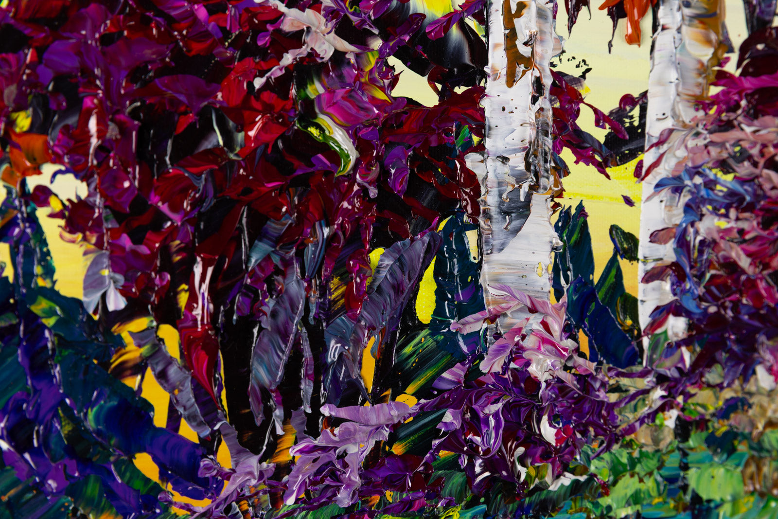 Day Birch 192643