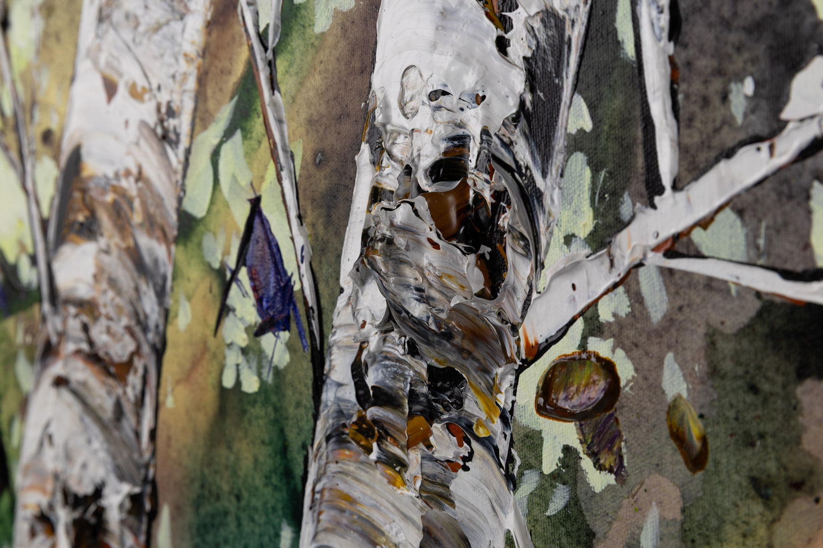 Day Birch 189731