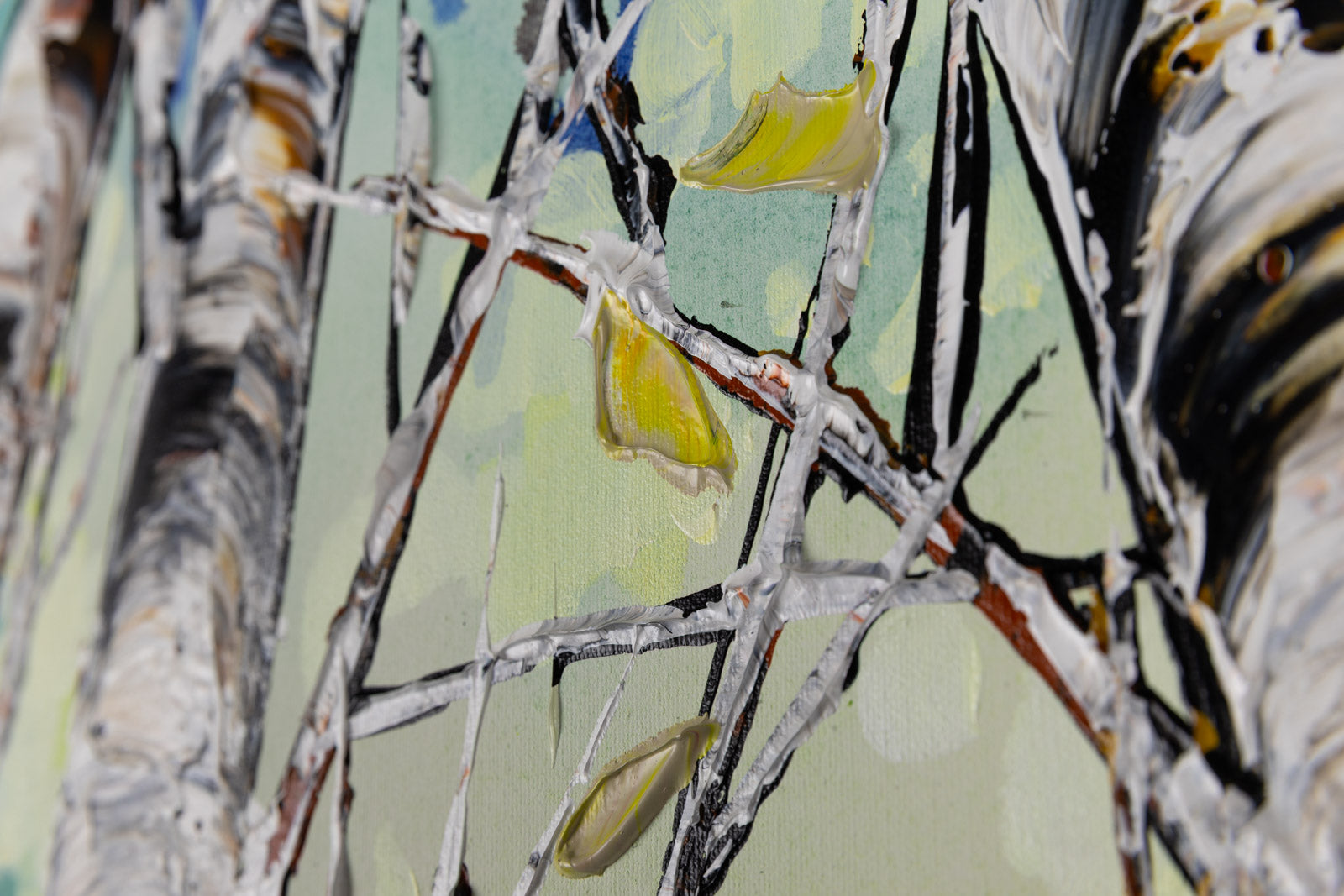 Day Birch 189731