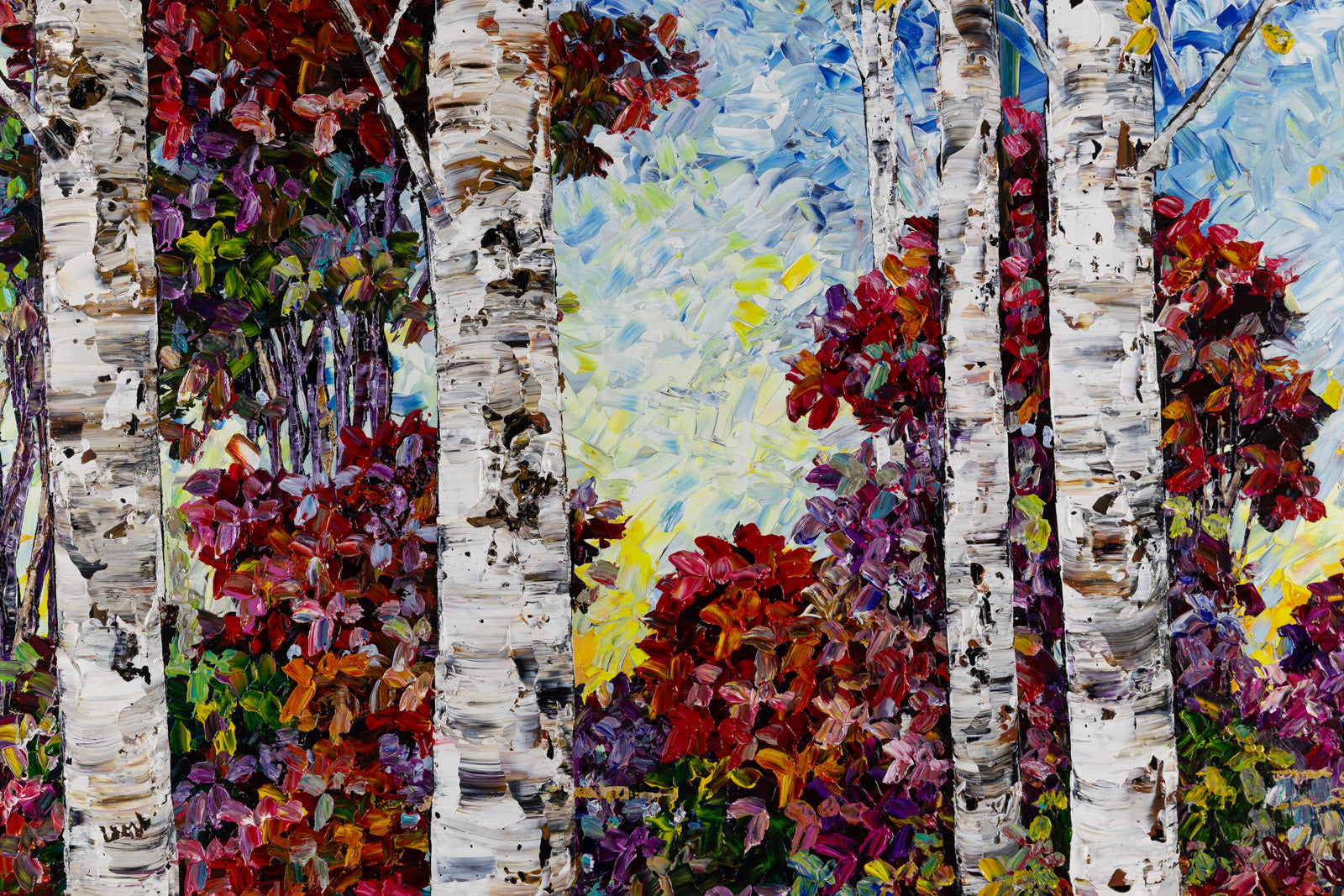 Day Birches 192284