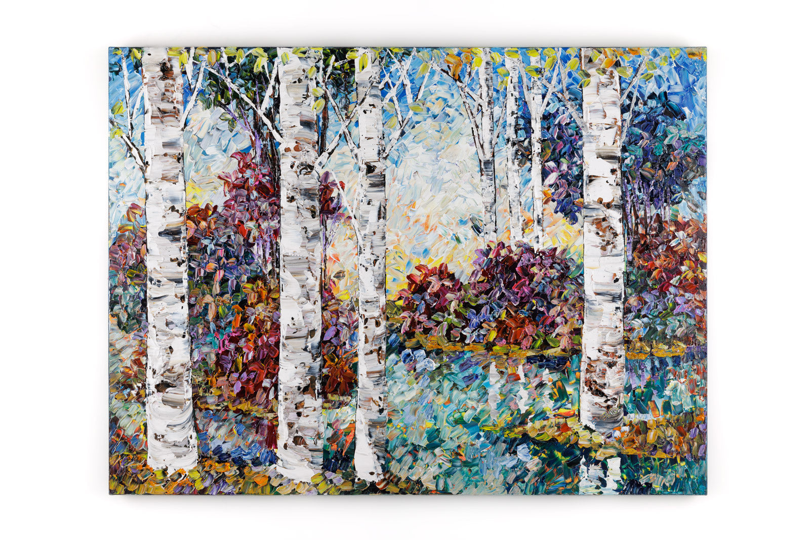 Birch 192281