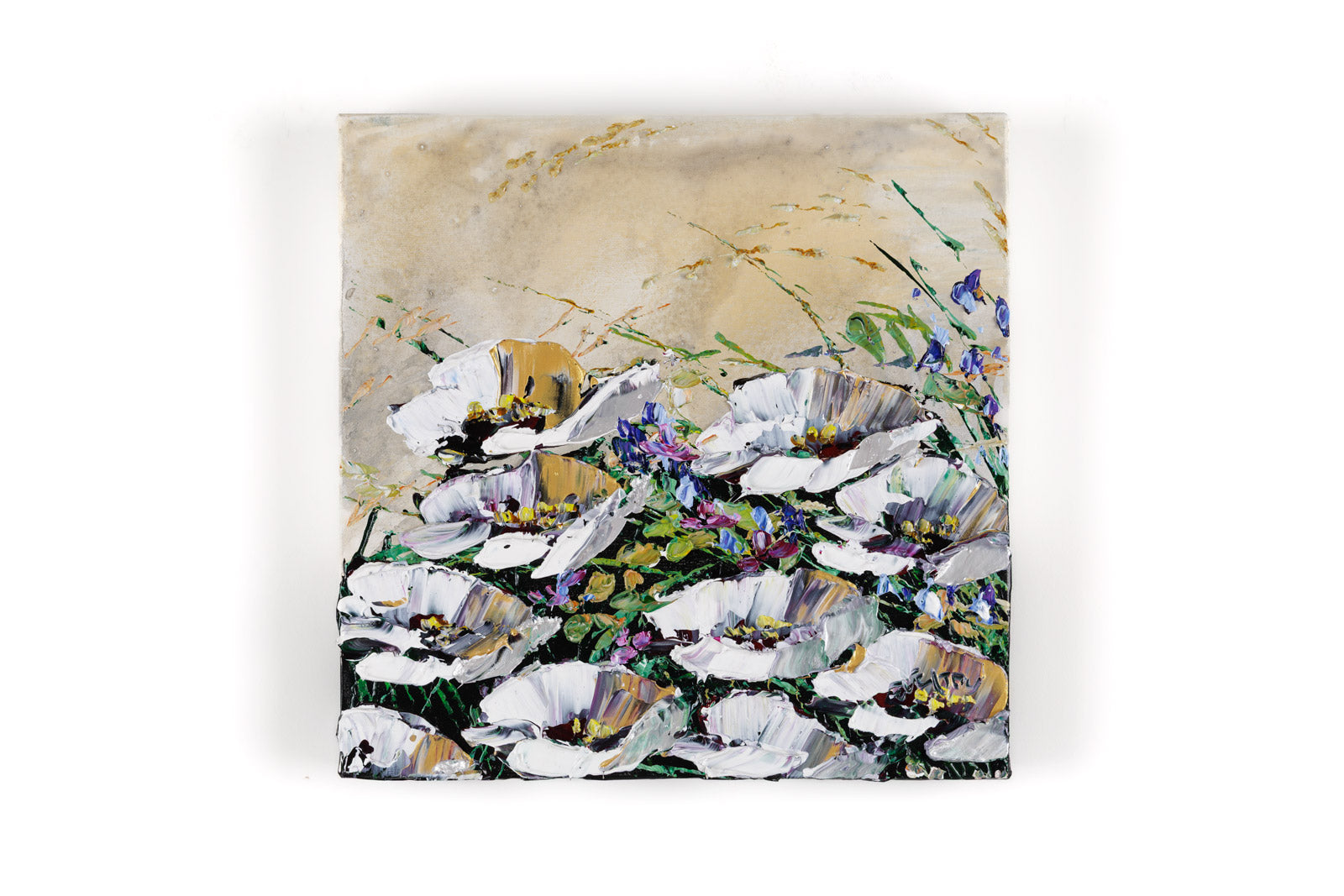 White Poppies 193369