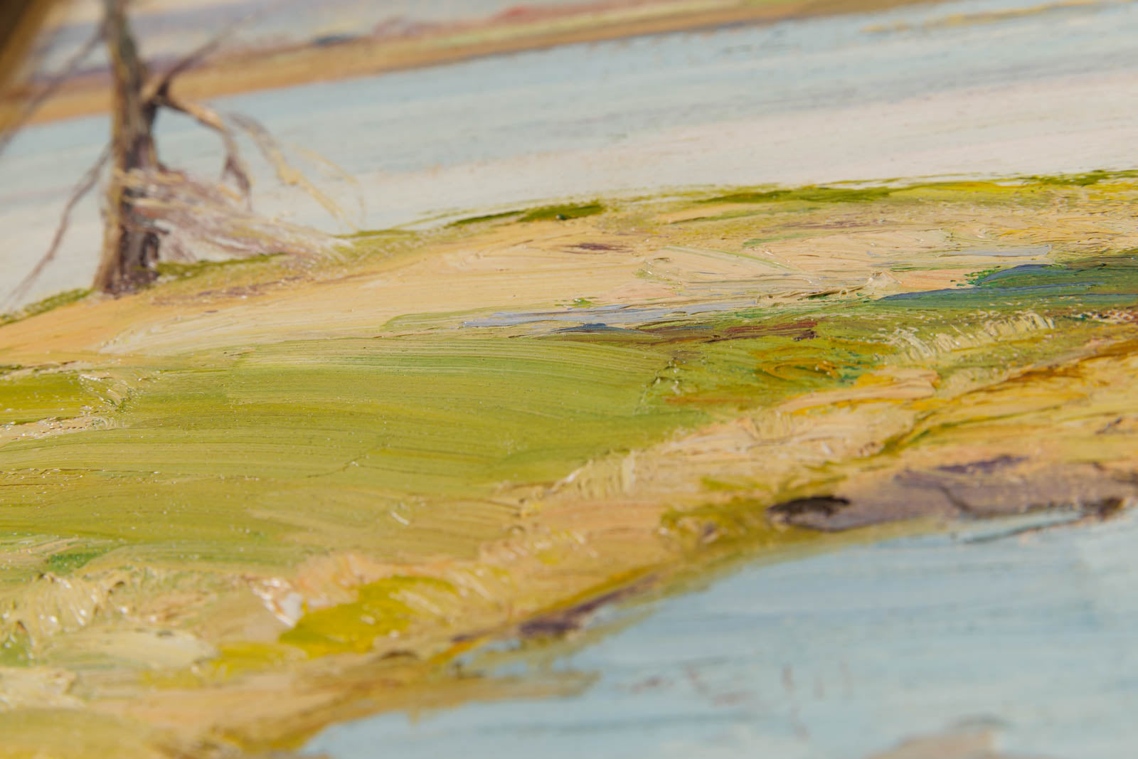 Untitled River Shore