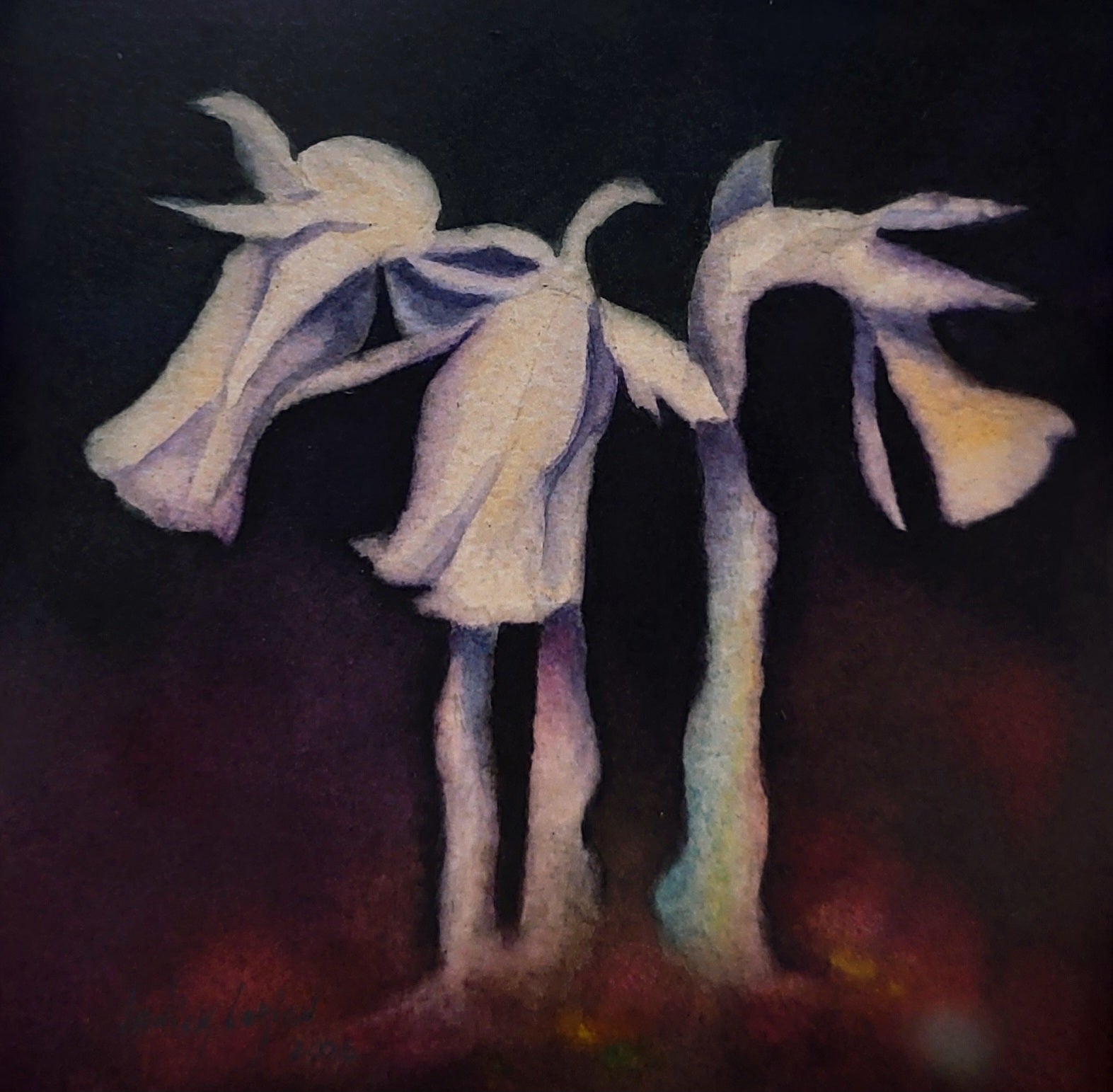 American Indian Ghost Pipe Plant