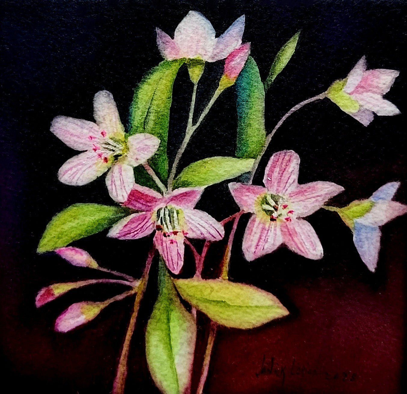 Spring Beauties Bouquet