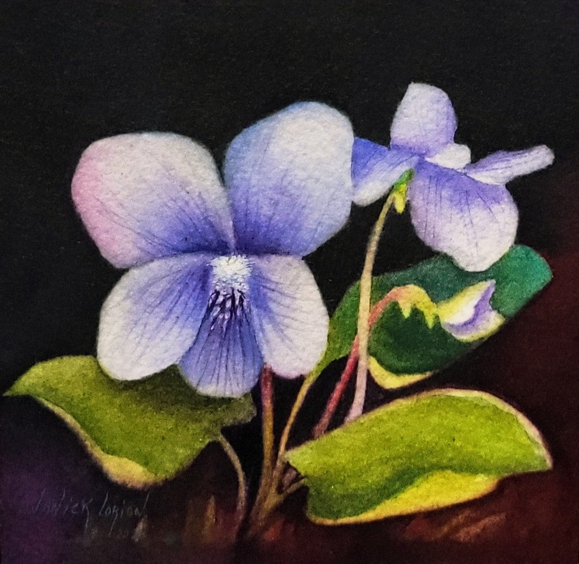 Wild Violets I