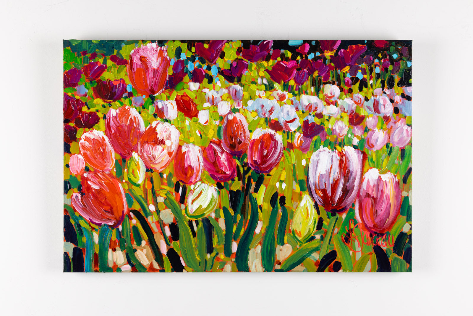 Chemin De Tulips