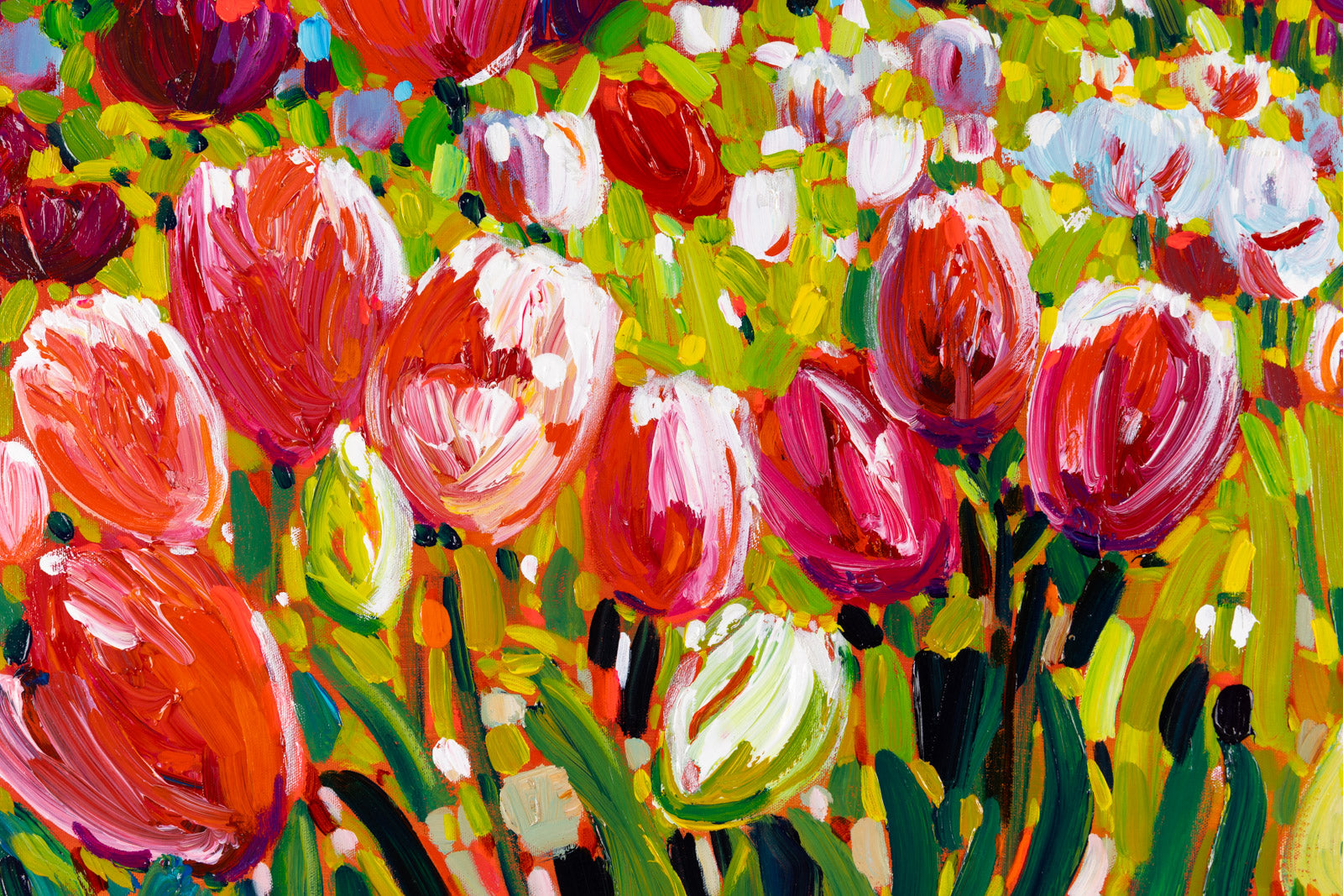 Chemin De Tulips