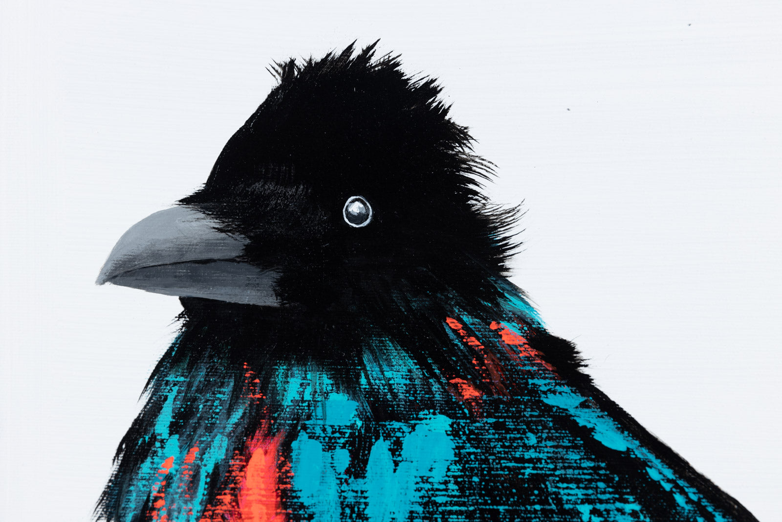 Birds Of A Feather #212