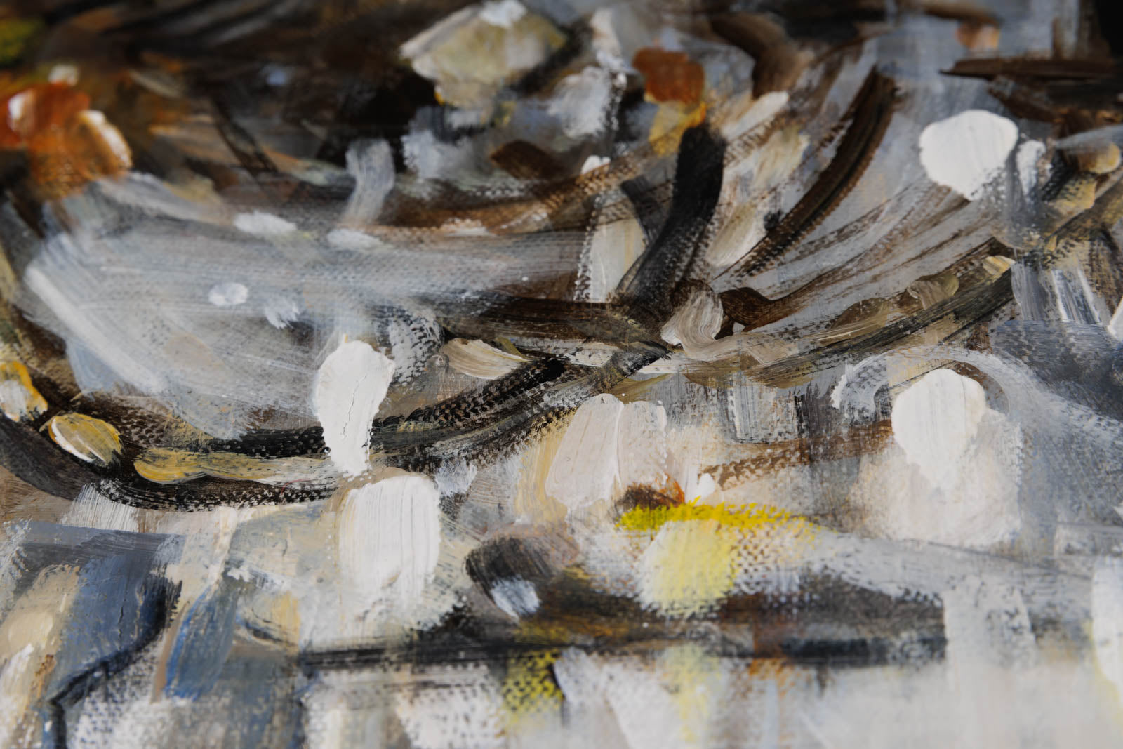 White Ballroom & Black Chandelier