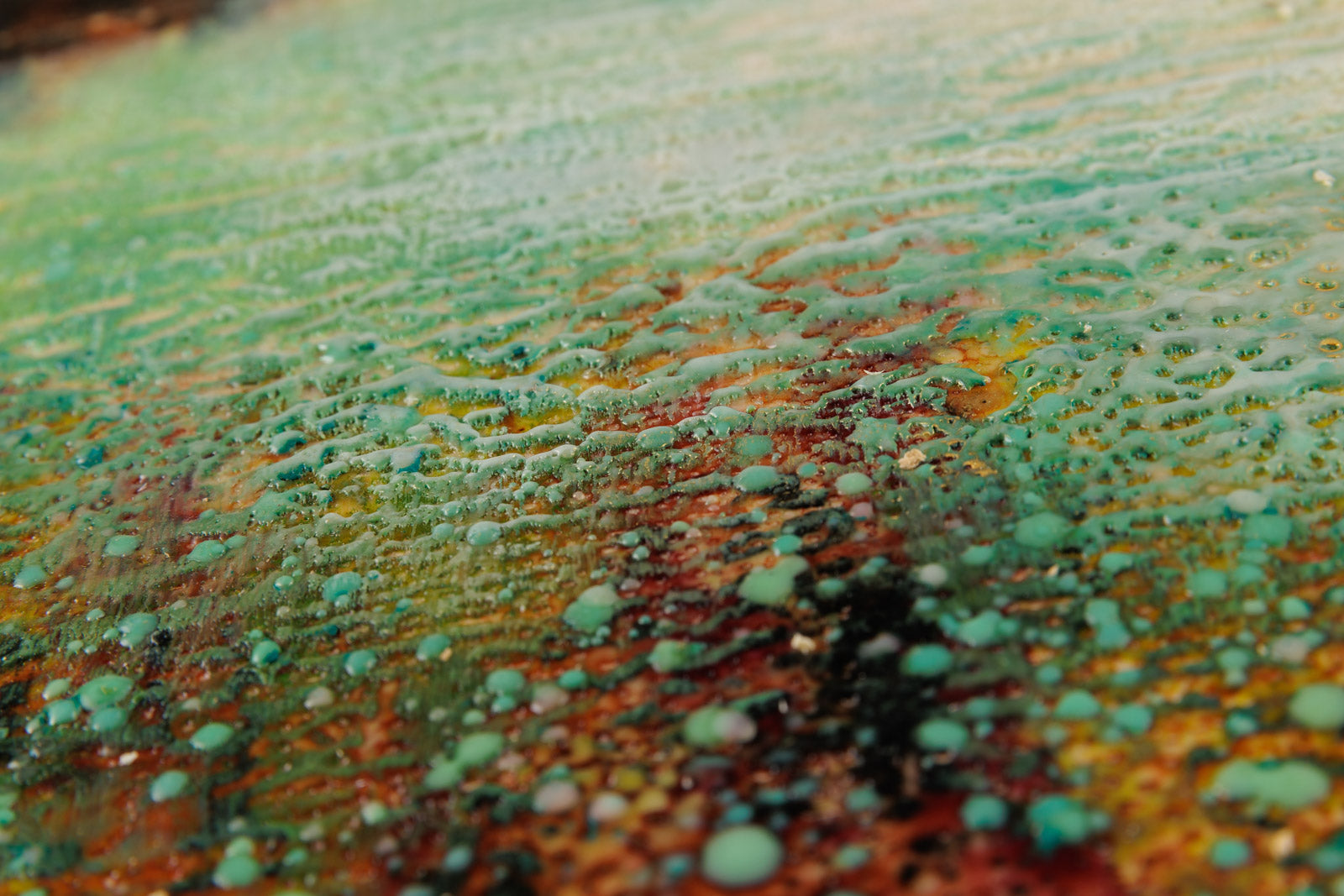 Late Summer Memories