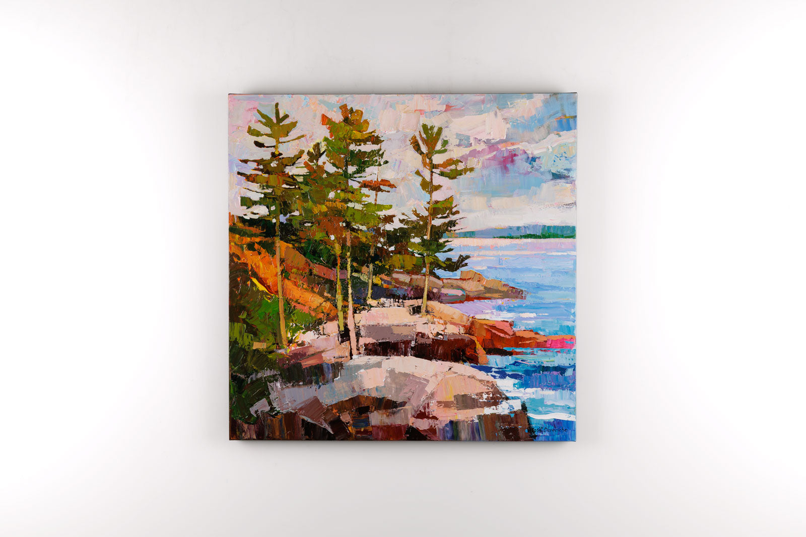 Rocky Shore In Algonquin