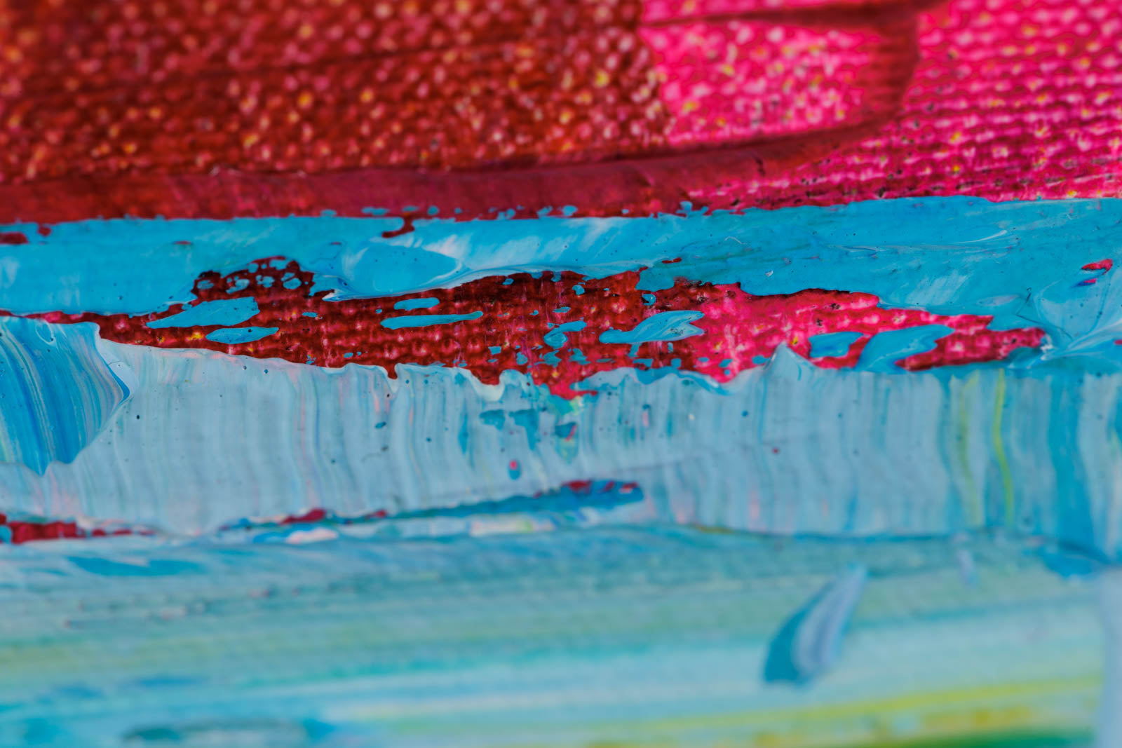 Rocky Shore In Algonquin