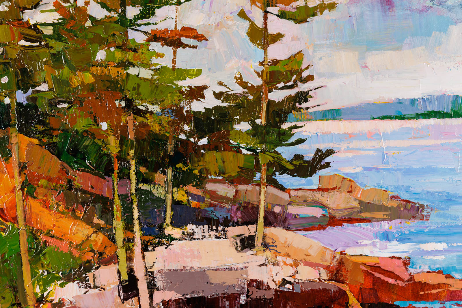 Rocky Shore In Algonquin