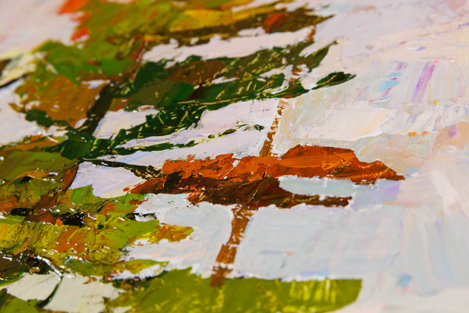 Rocky Shore In Algonquin