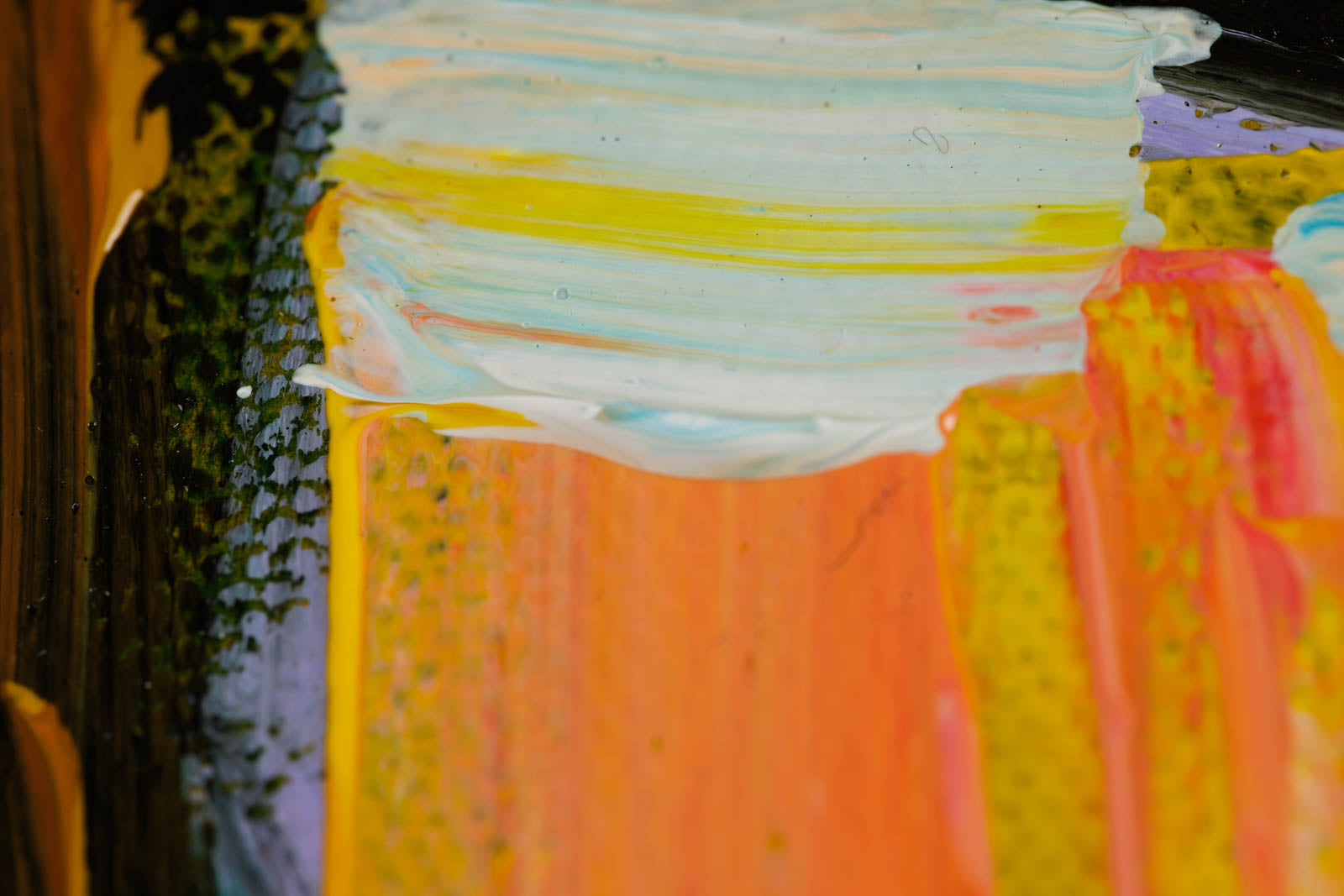 A Peek Through The Pine Trees