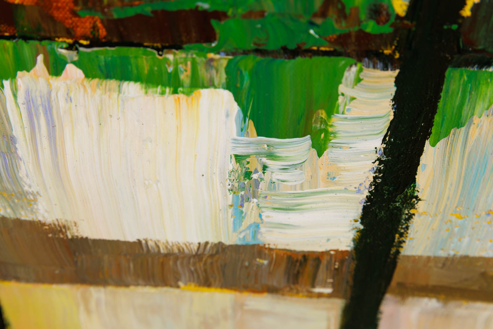 A Peek Through The Pine Trees