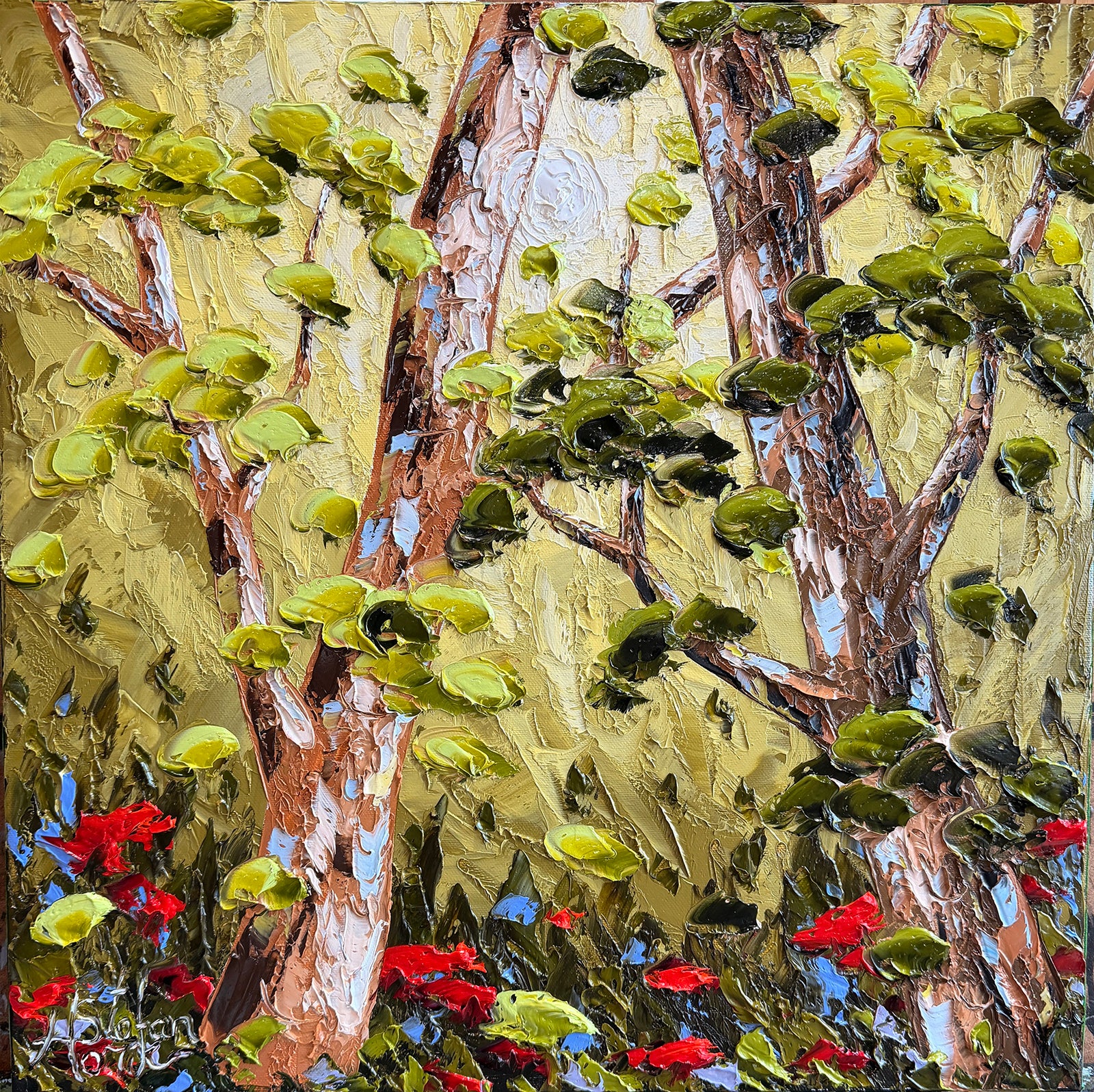 Bright Lights In The Woods