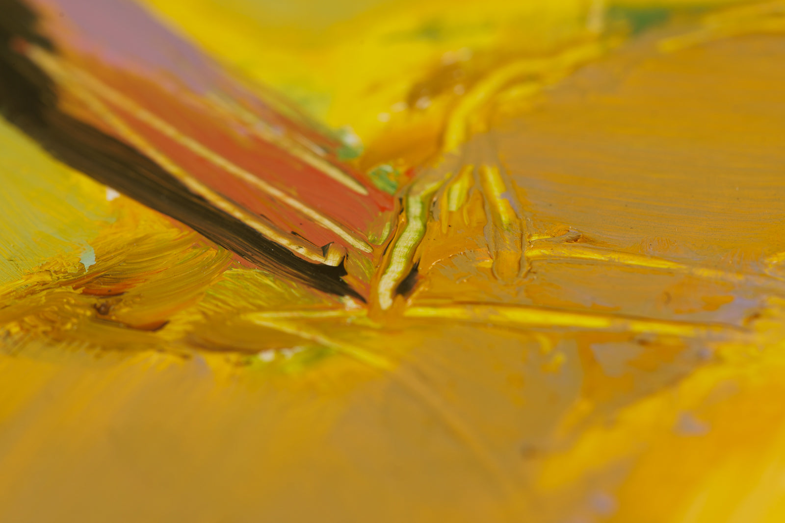Joanna Aplin, "Three Pears," detail view, oil on canvas
