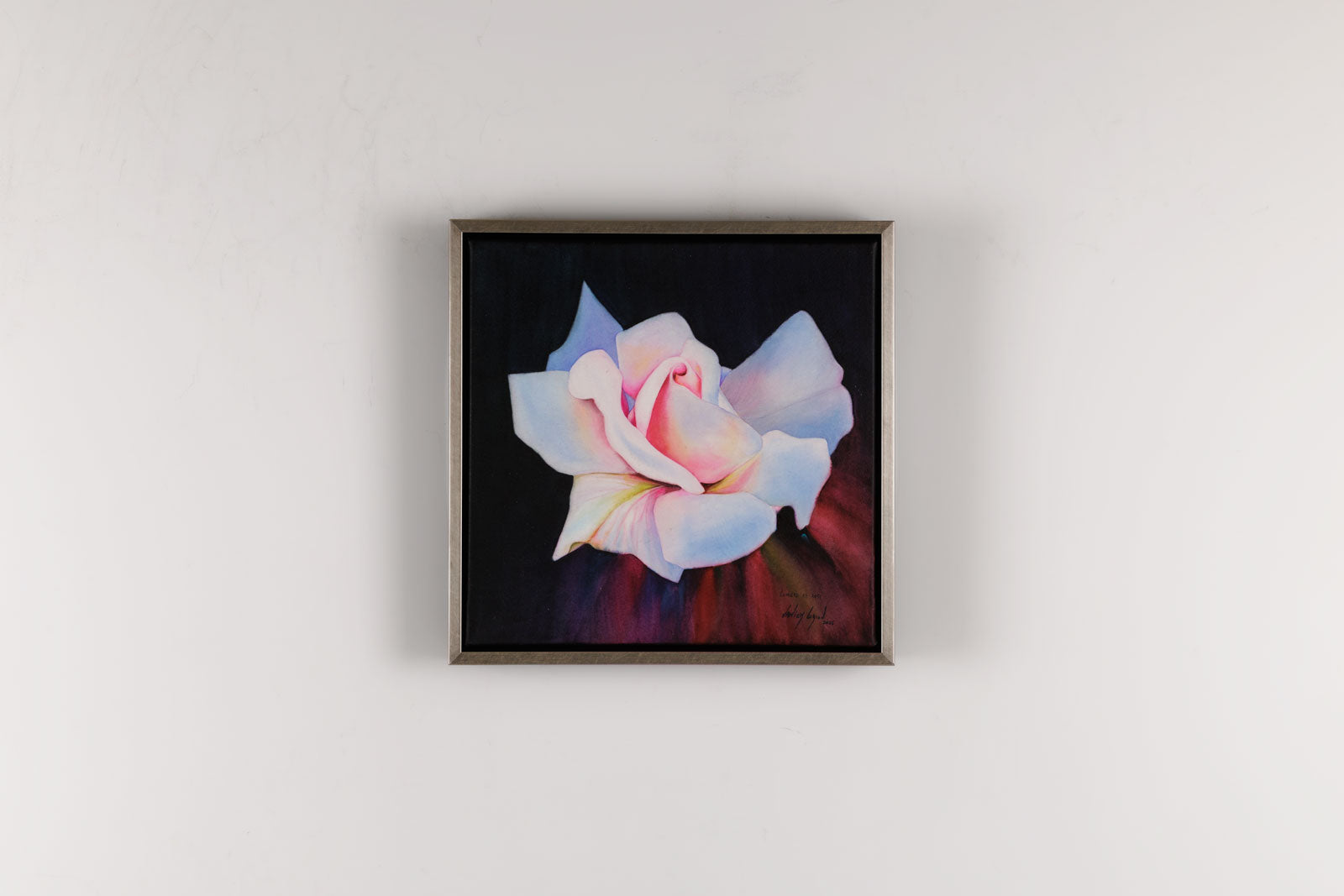 Lumiere De Rose