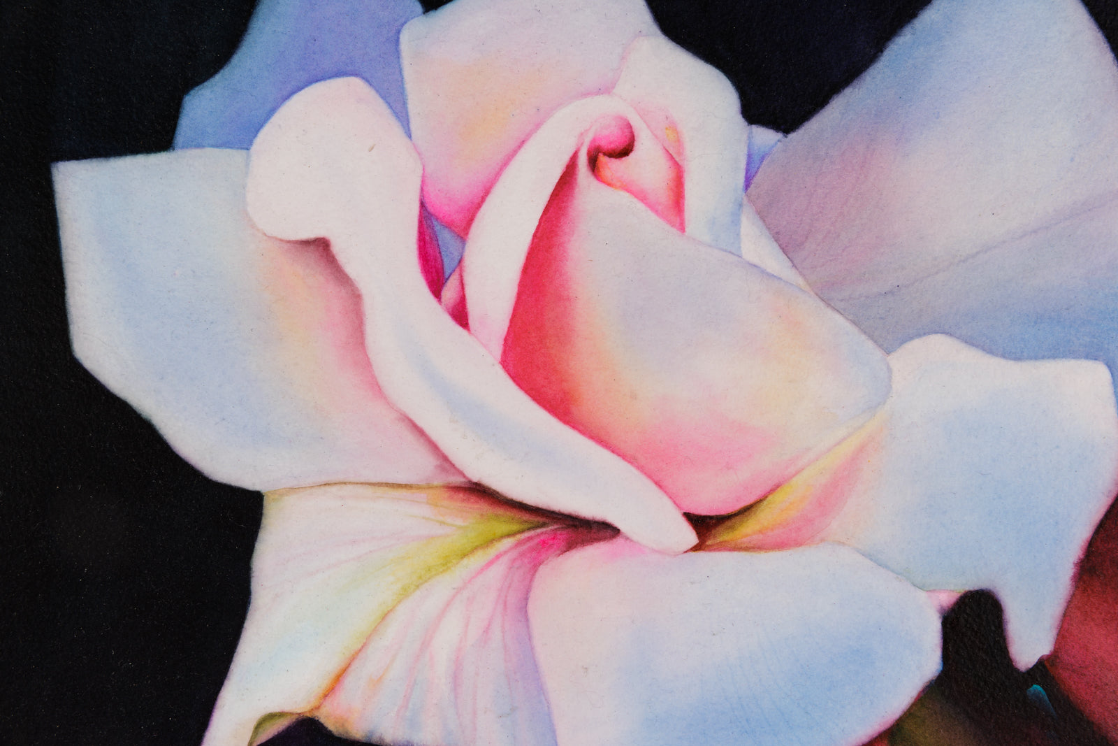 Lumiere De Rose