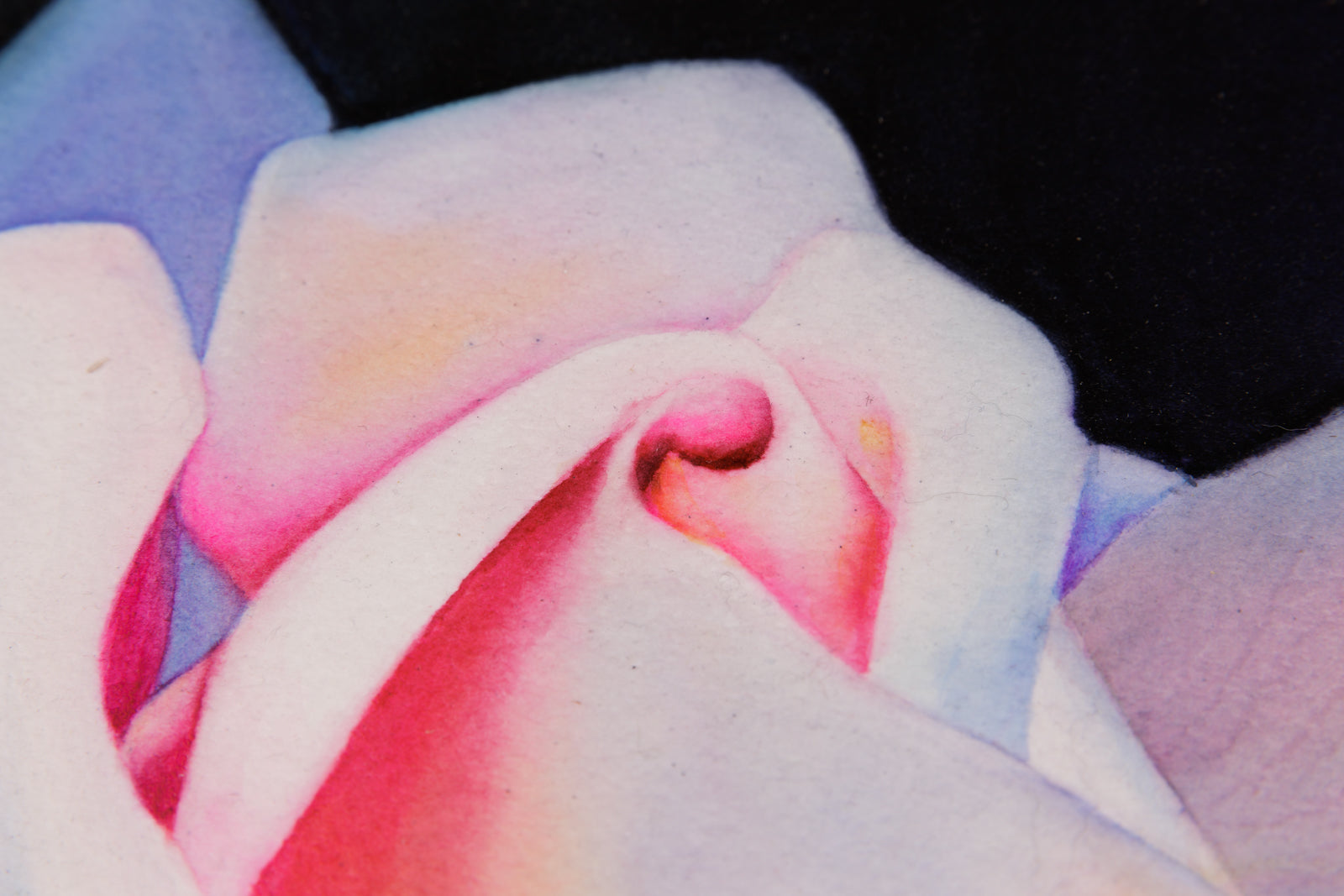 Lumiere De Rose