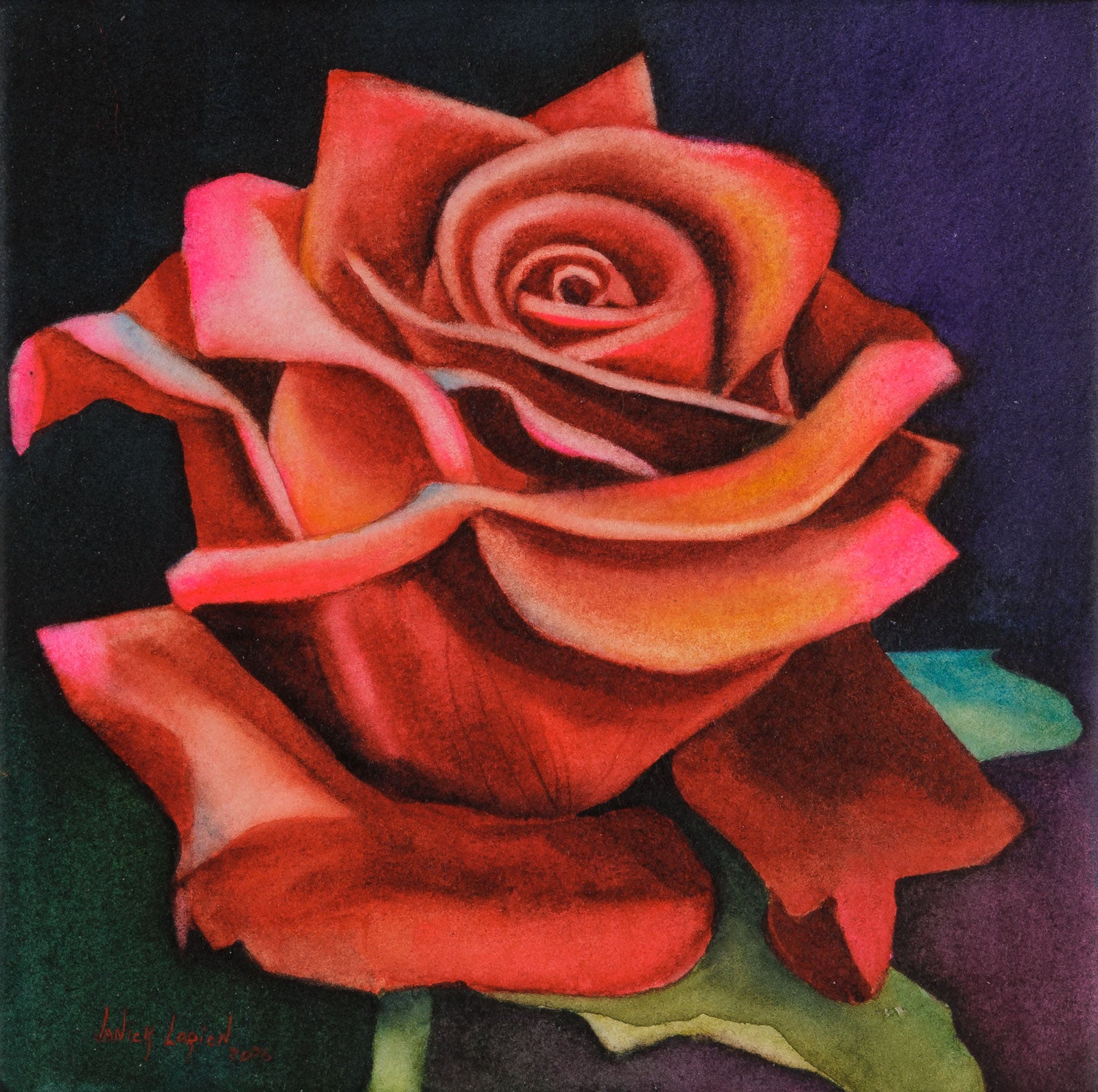 Red Rose