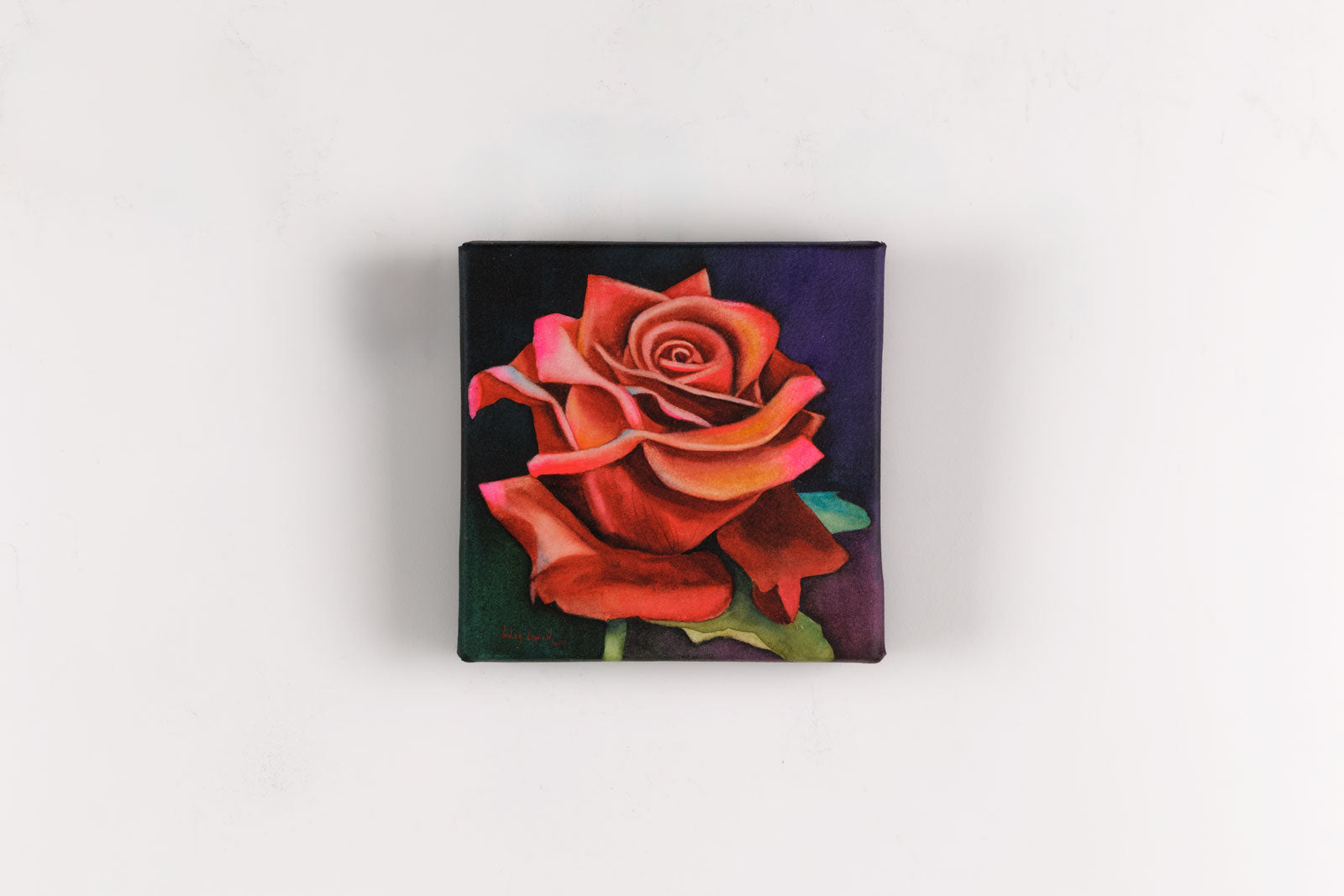 Red Rose