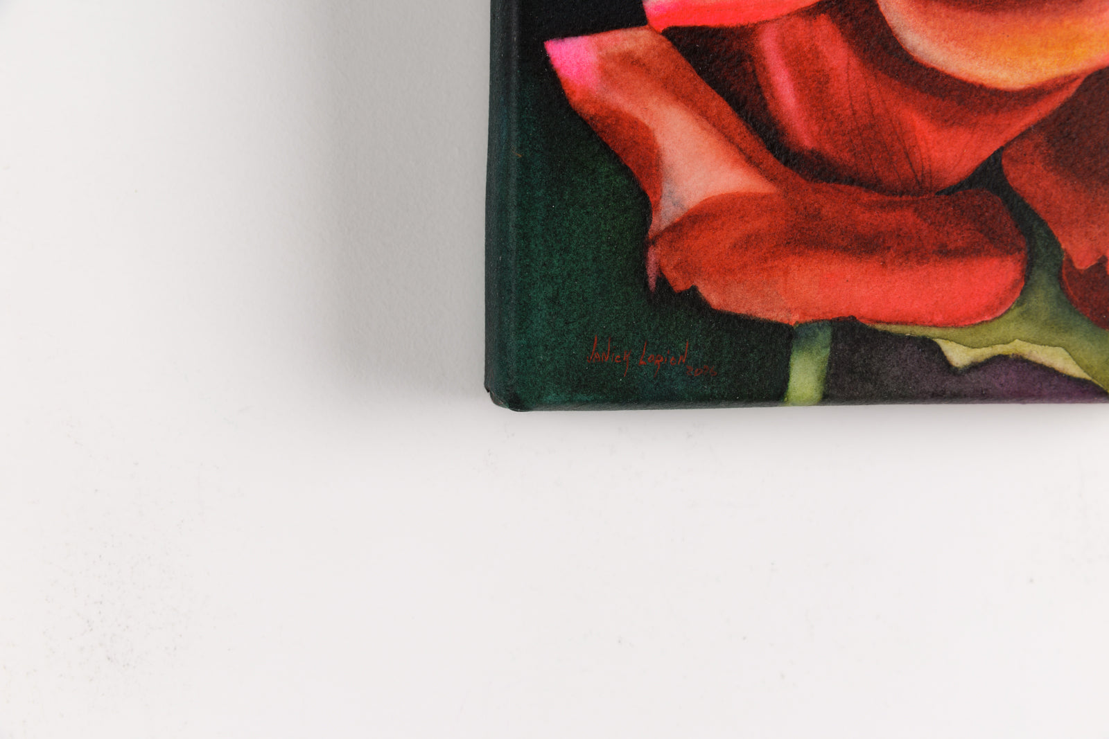 Red Rose