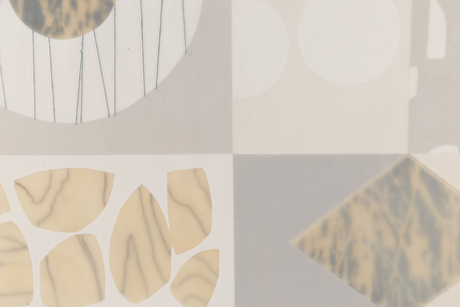 Cream n' Gray