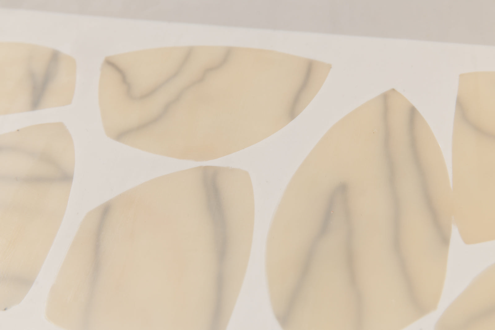 Cream n' Gray