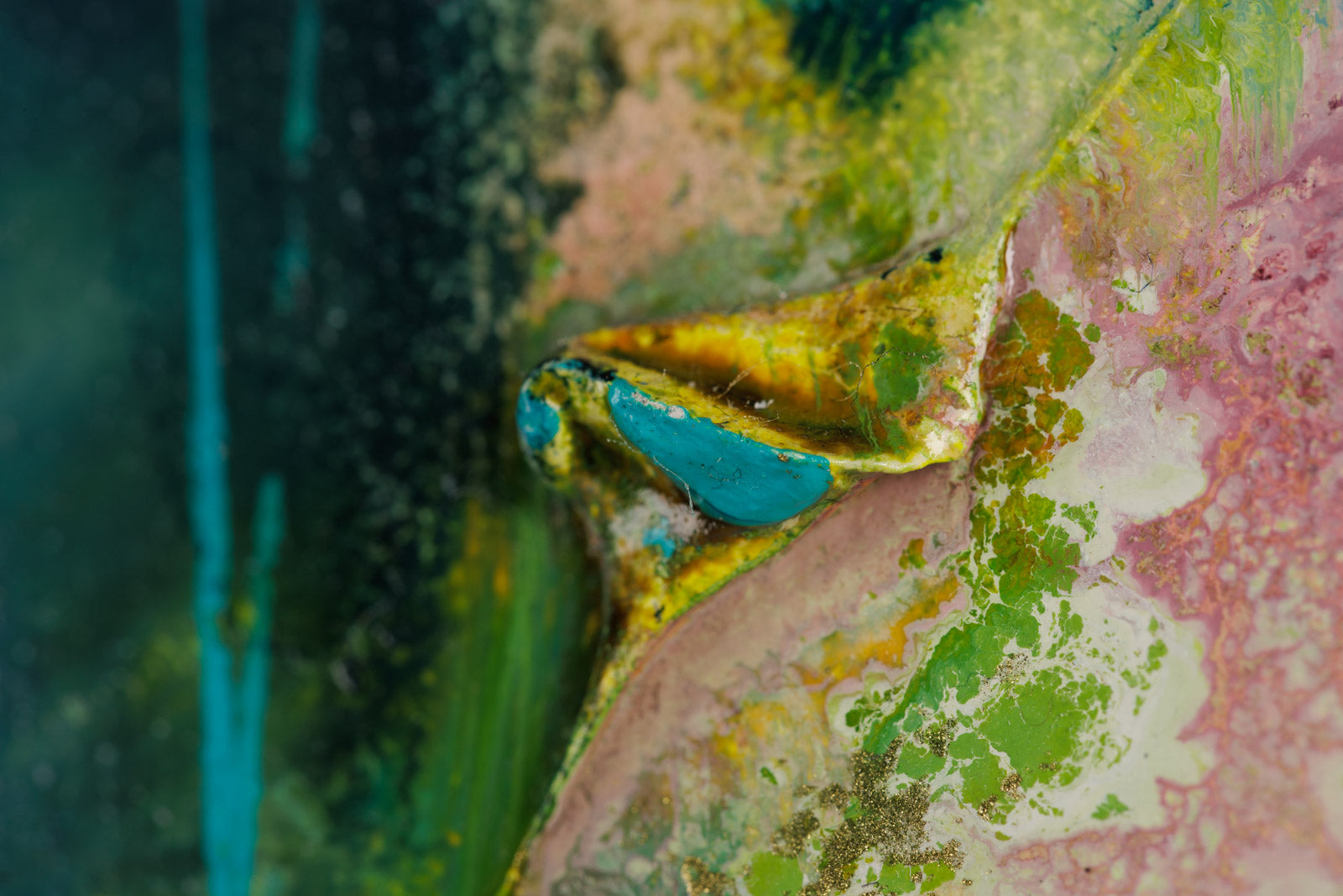 Paysages Interieurs