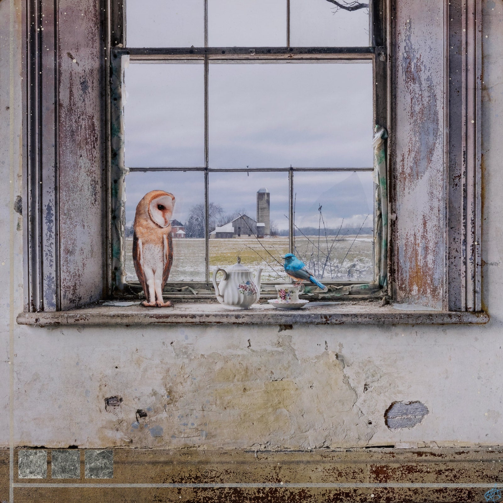 Window Dressing