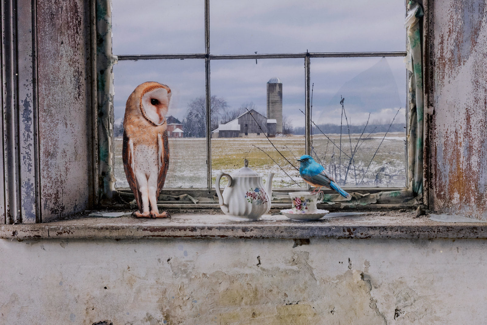 Window Dressing