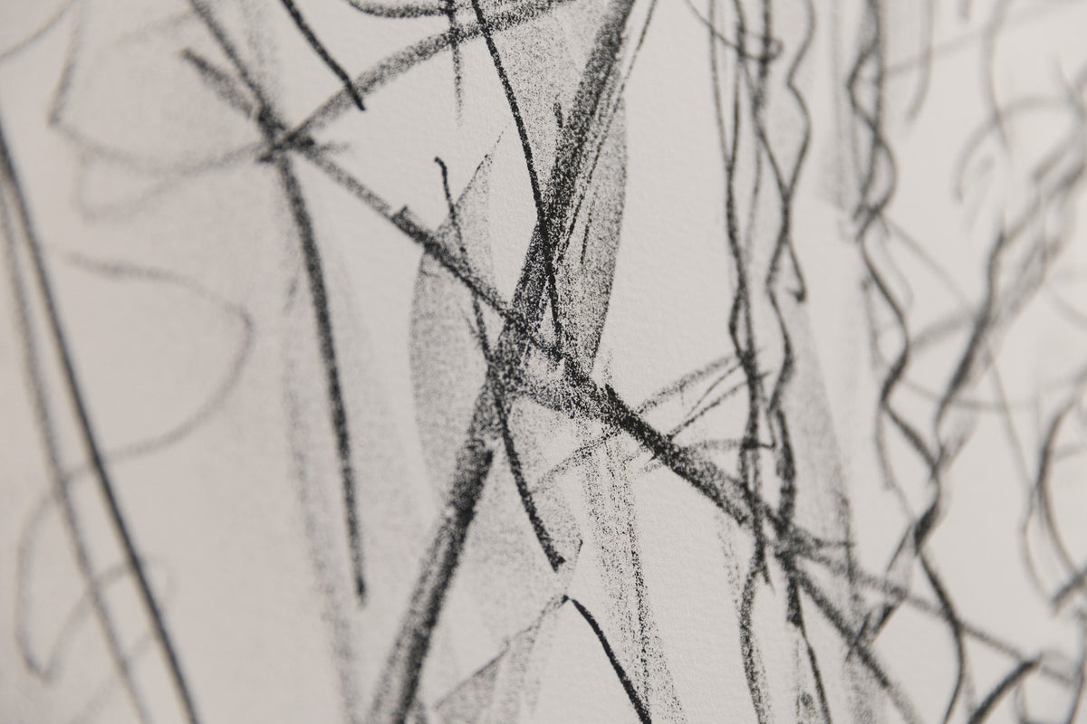 Jean-Paul Riopelle, "Suite Radisson HC/30," detail view, lithograph