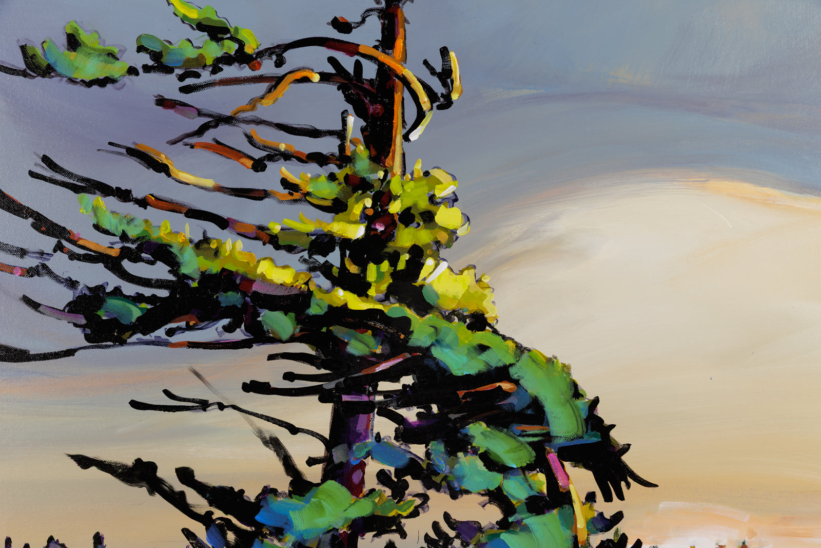 A Fresh Wind