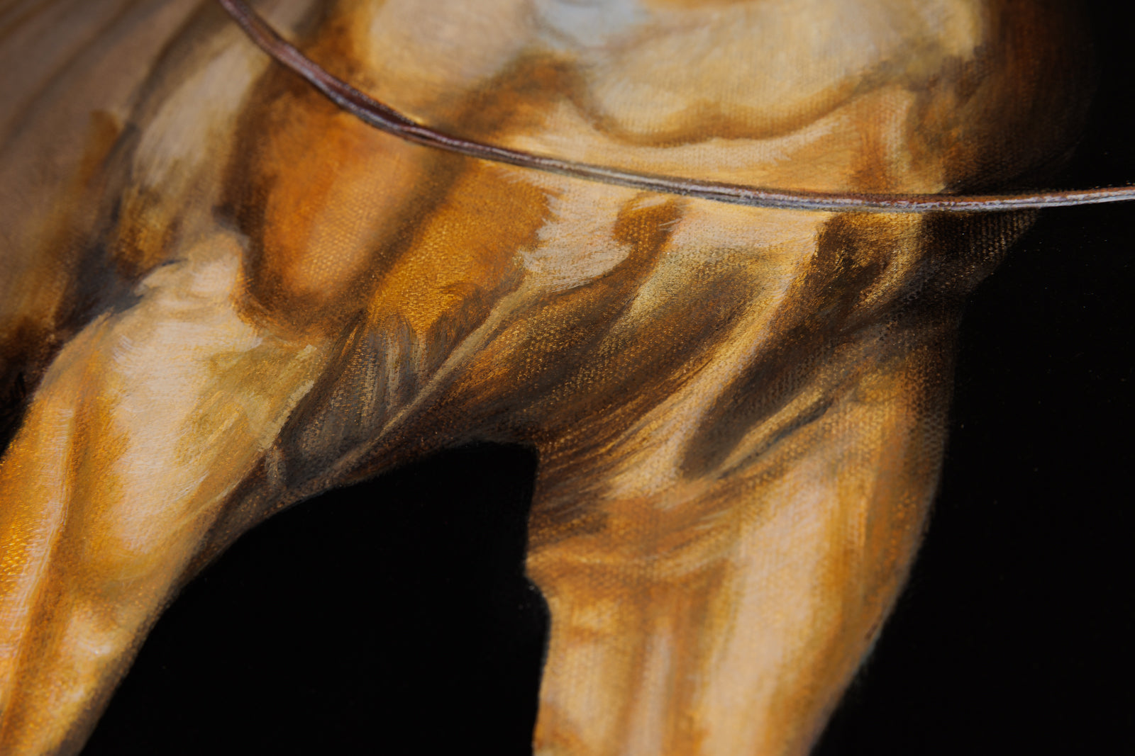 Kim Chase, "The Tethered Heart," detail view, oil on canvas