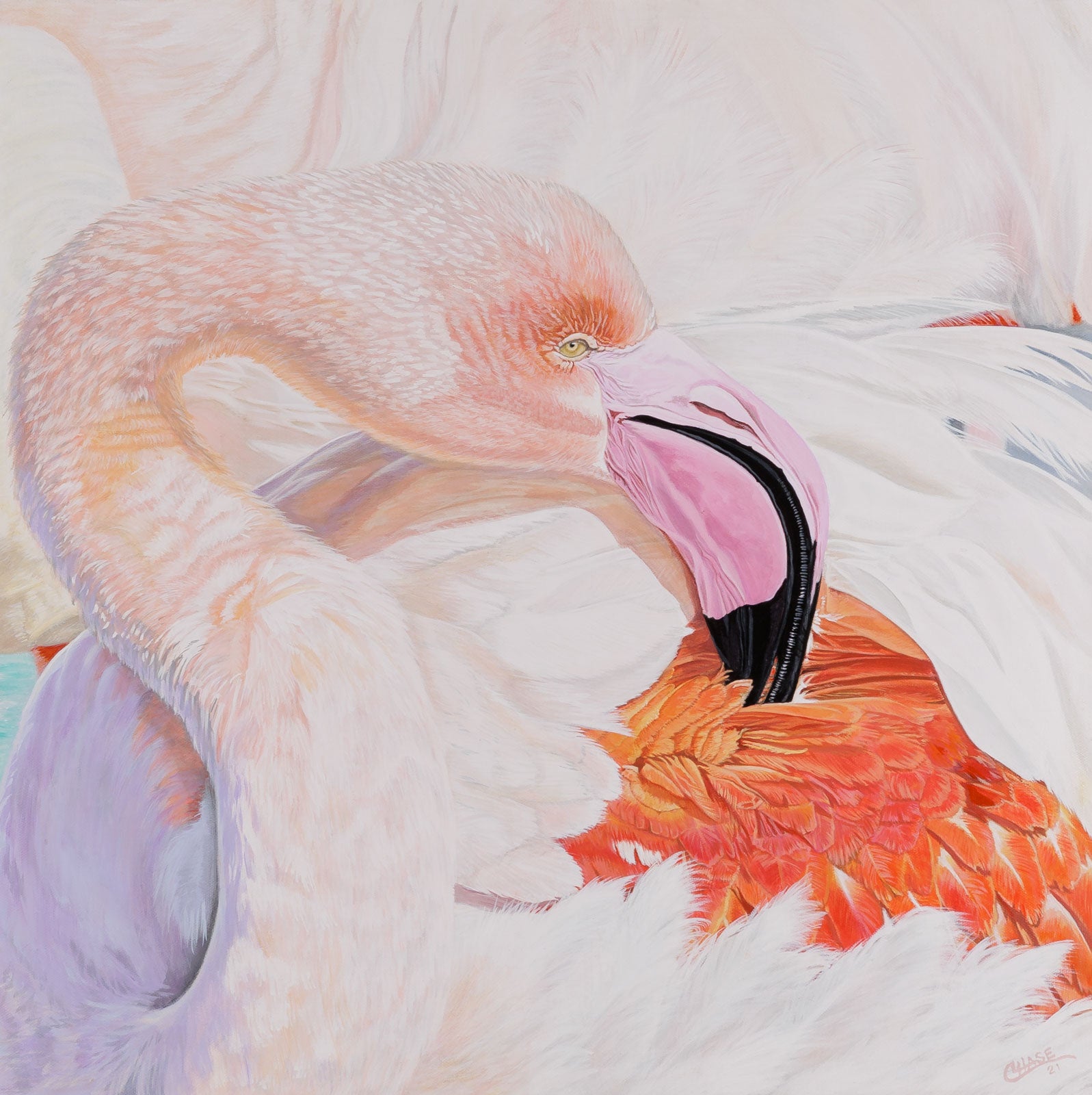 Kim Chase, "Pink Fluff," oil on canvas, 24 x 24 in., wildlife painting of a flamingo, framed