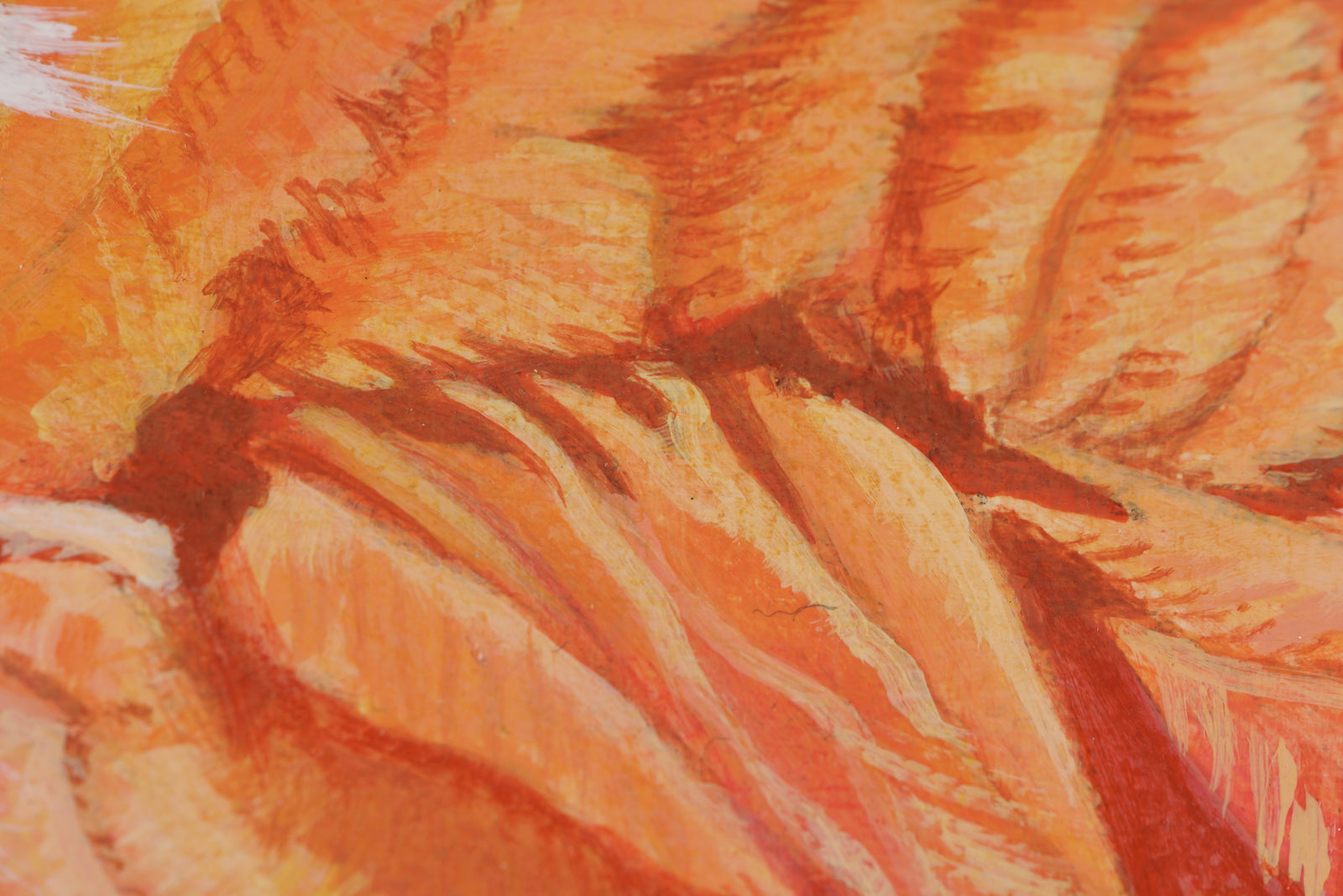 Kim Chase, "Pink Fluff," detail view, oil on canvas