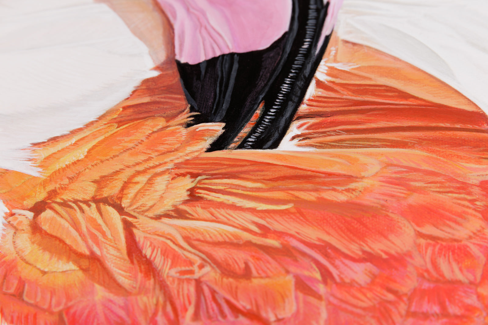 Kim Chase, "Pink Fluff," detail view, oil on canvas