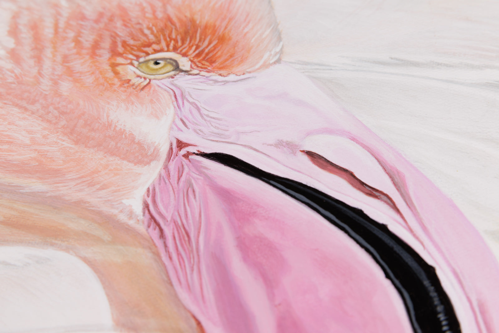 Kim Chase, "Pink Fluff," detail view, oil on canvas