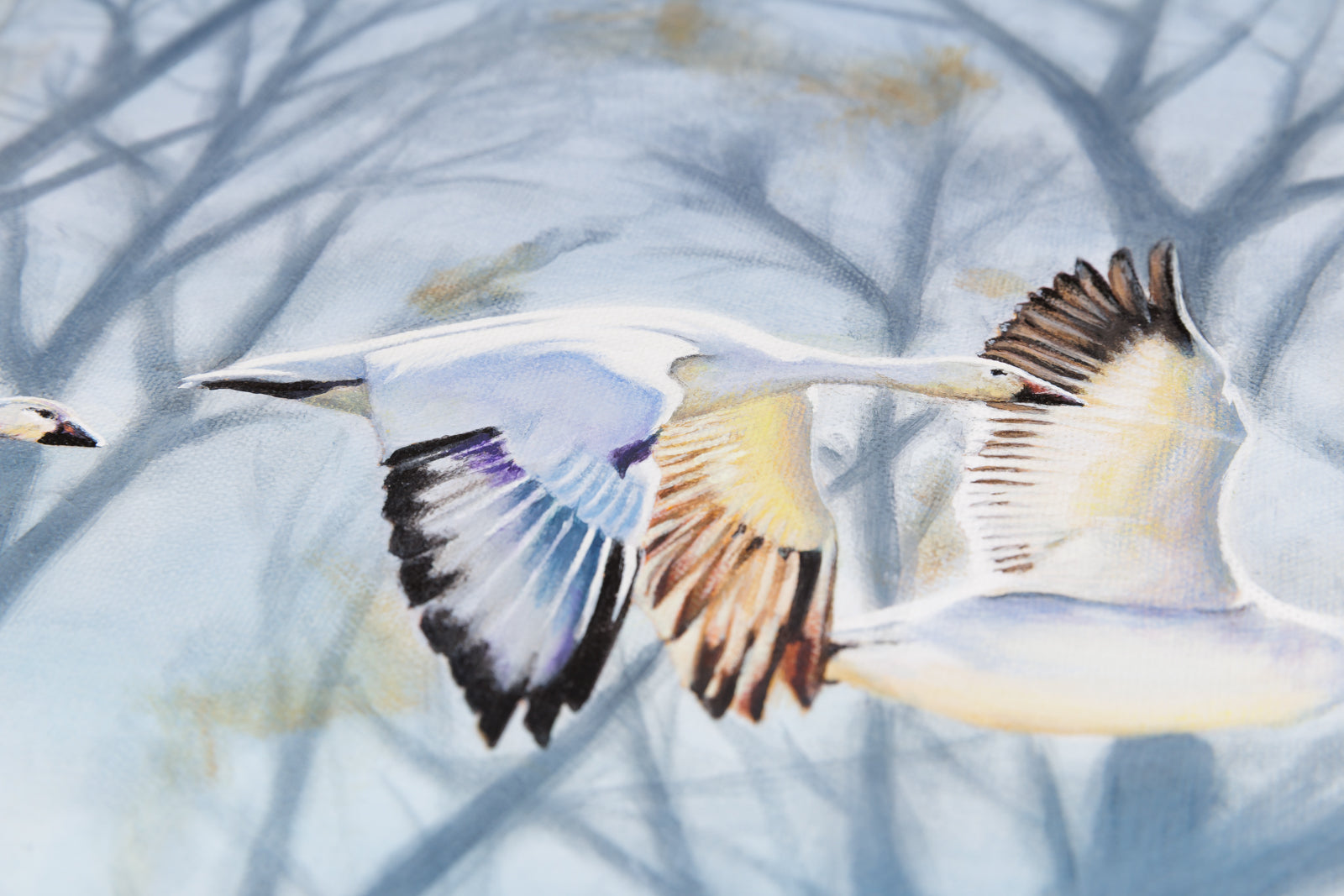 Kim Chase, "Taking Flight," detail view, oil on canvas