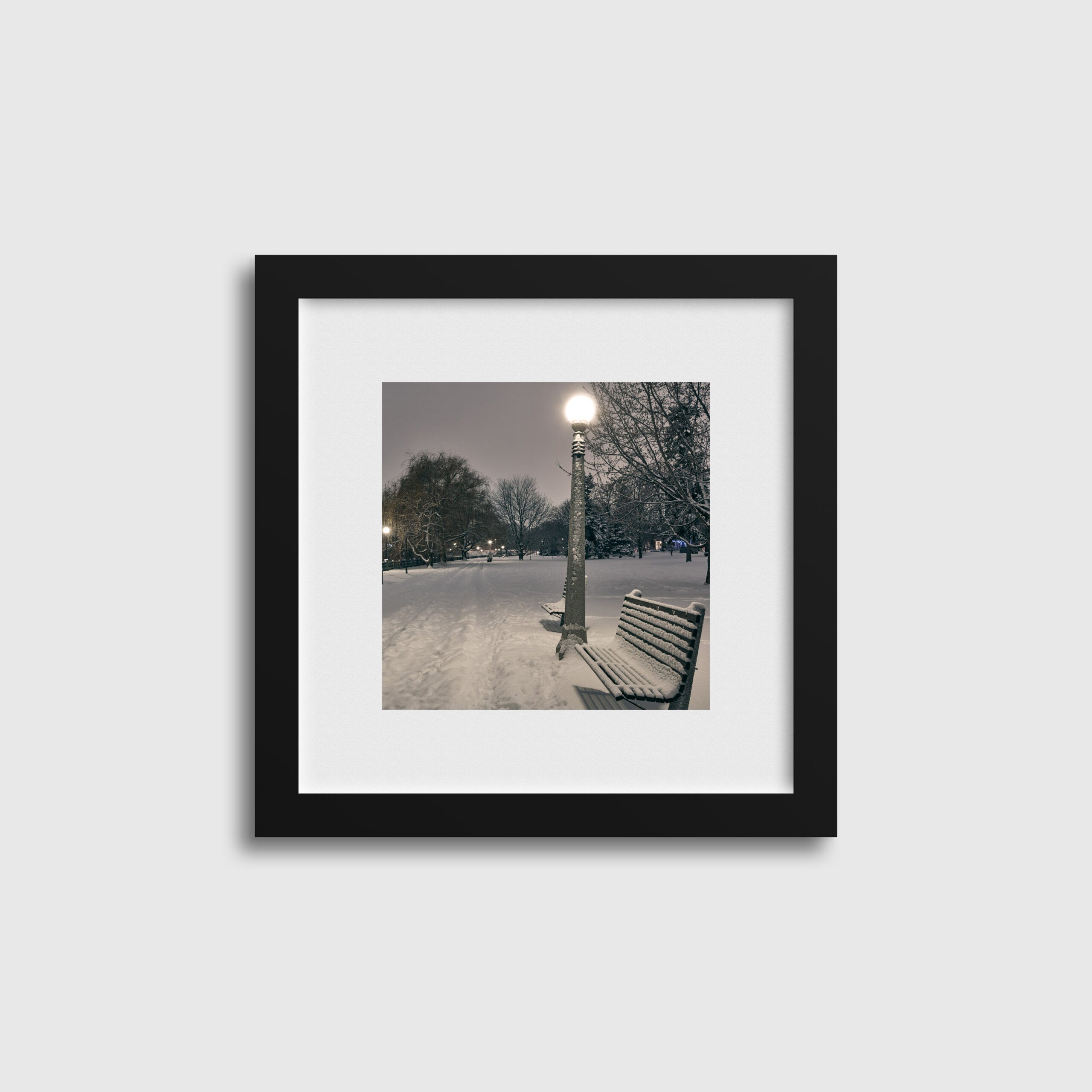 Patterson Creek Path